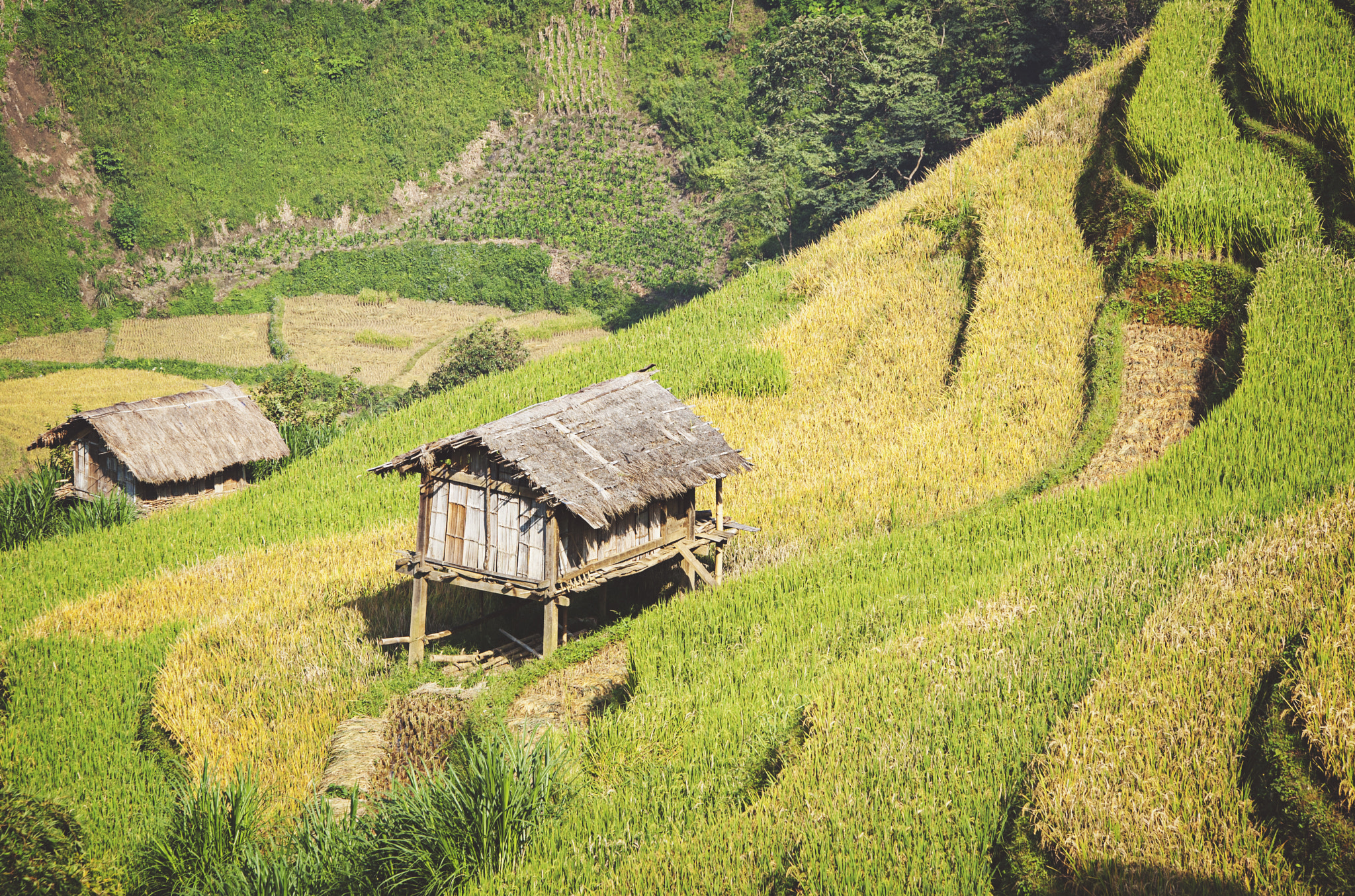 Sigma 70-200mm F2.8 EX DG OS HSM sample photo. Mu cang chai field, in middle autumn 2016 photography