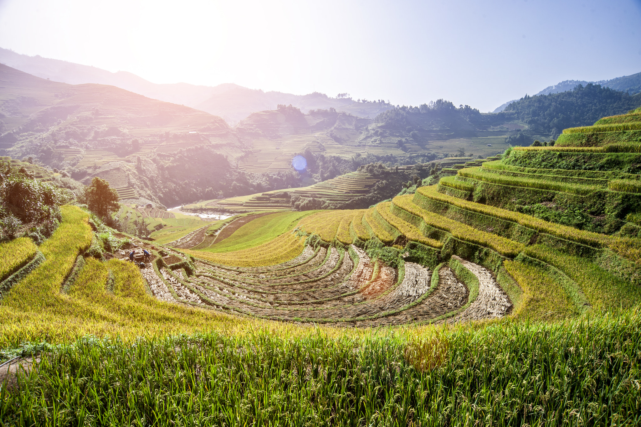 Nikon D700 sample photo. Mu cang chai field, in middle autumn 2016 photography