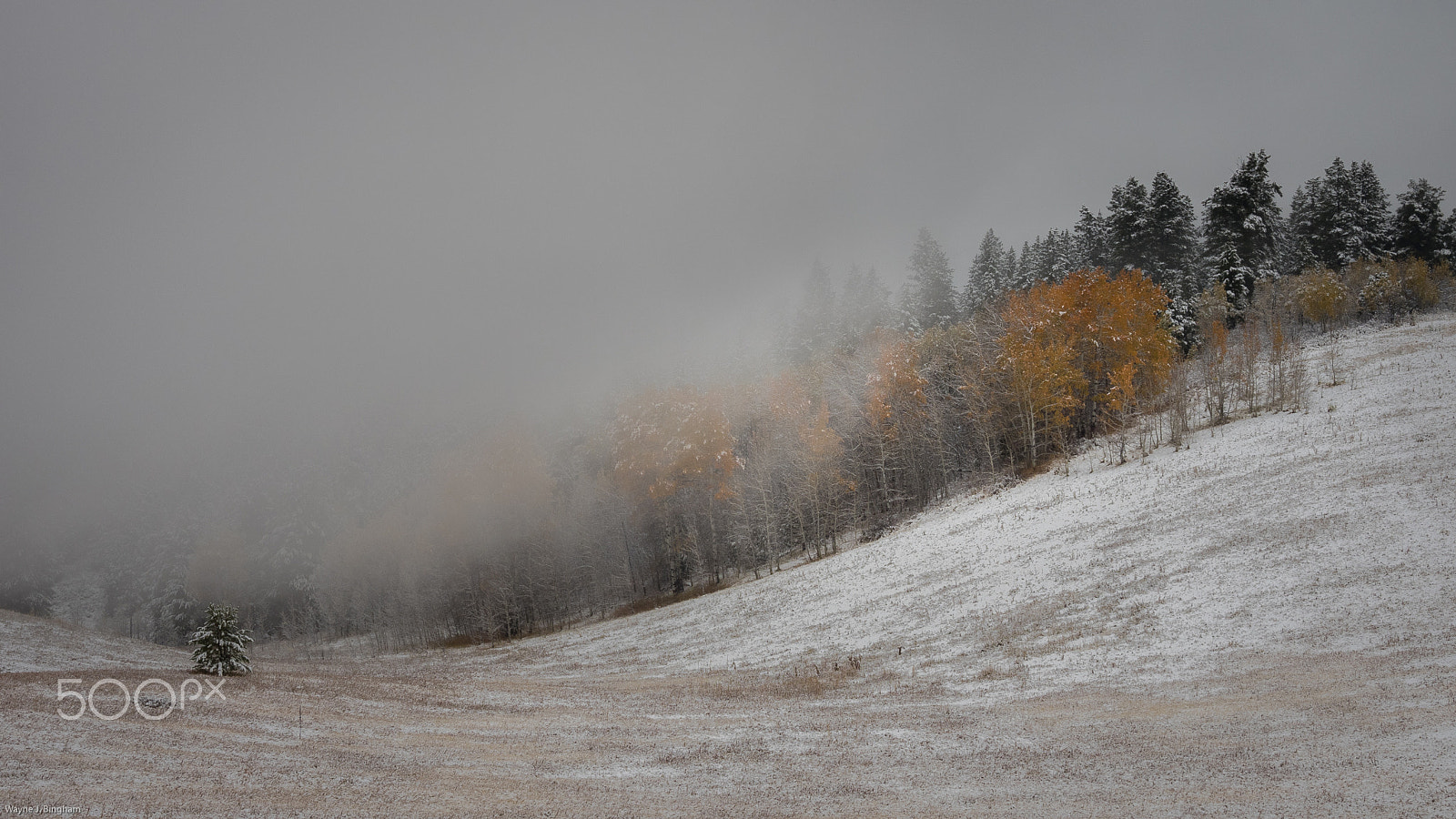Olympus OM-D E-M1 sample photo. Stormfront photography