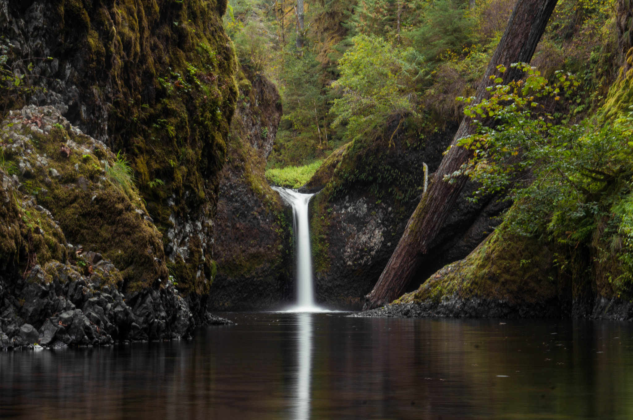 Sony Alpha NEX-6 + E 50mm F1.8 OSS sample photo. Punch bowl falls photography