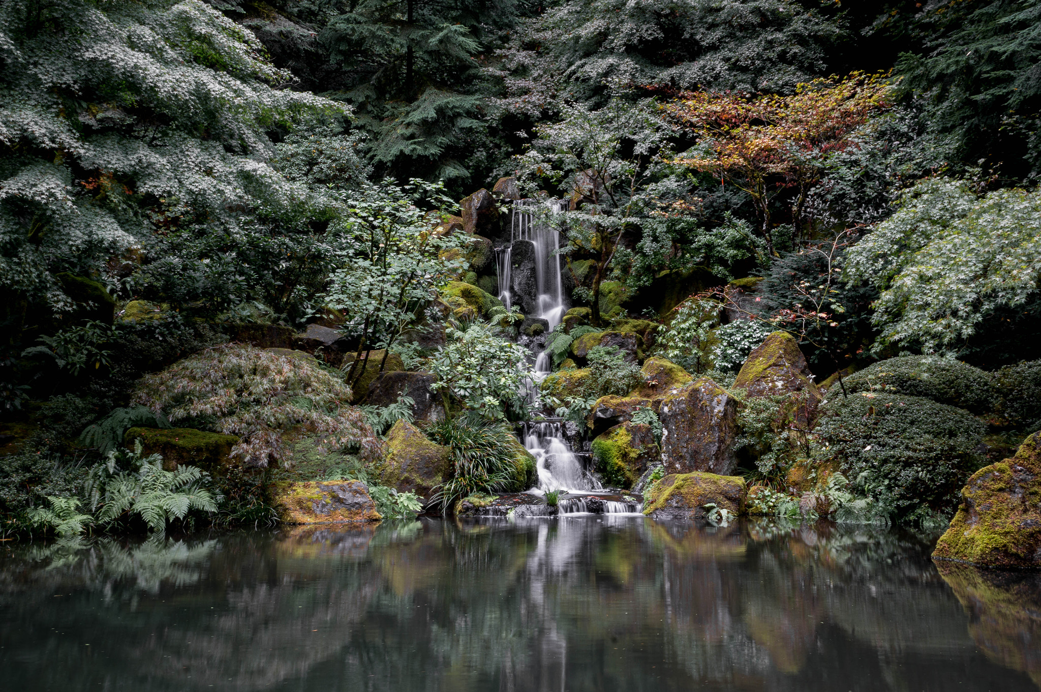 Sony Alpha NEX-6 + Sony Sonnar T* E 24mm F1.8 ZA sample photo. Japanese garden portland photography