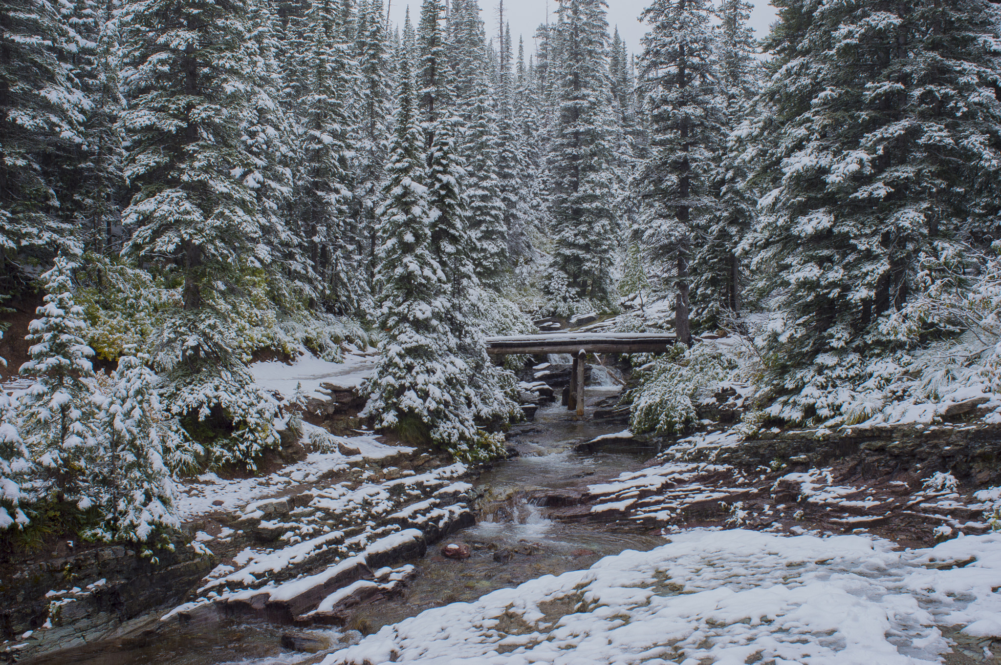 Nikon D3200 sample photo. Snowy morning photography