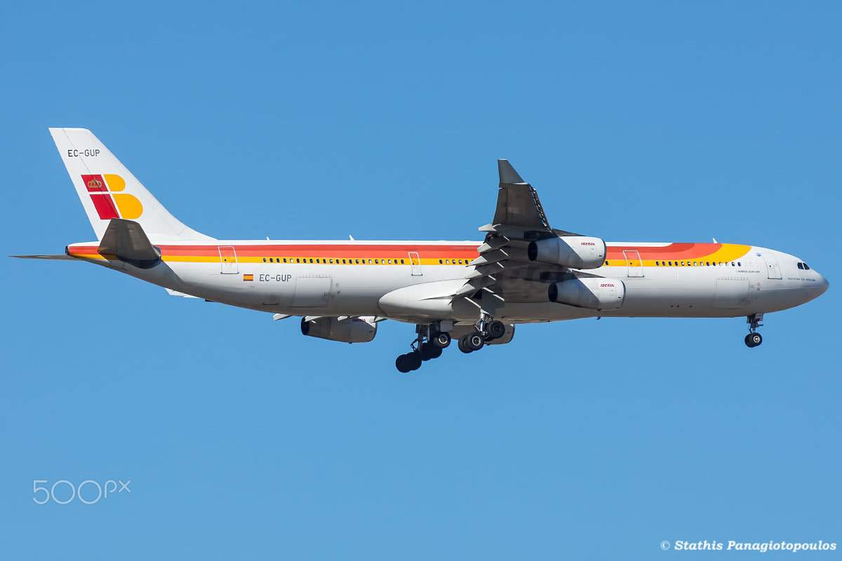 Tamron SP 70-300mm F4-5.6 Di USD sample photo. Flying in a blue sky photography