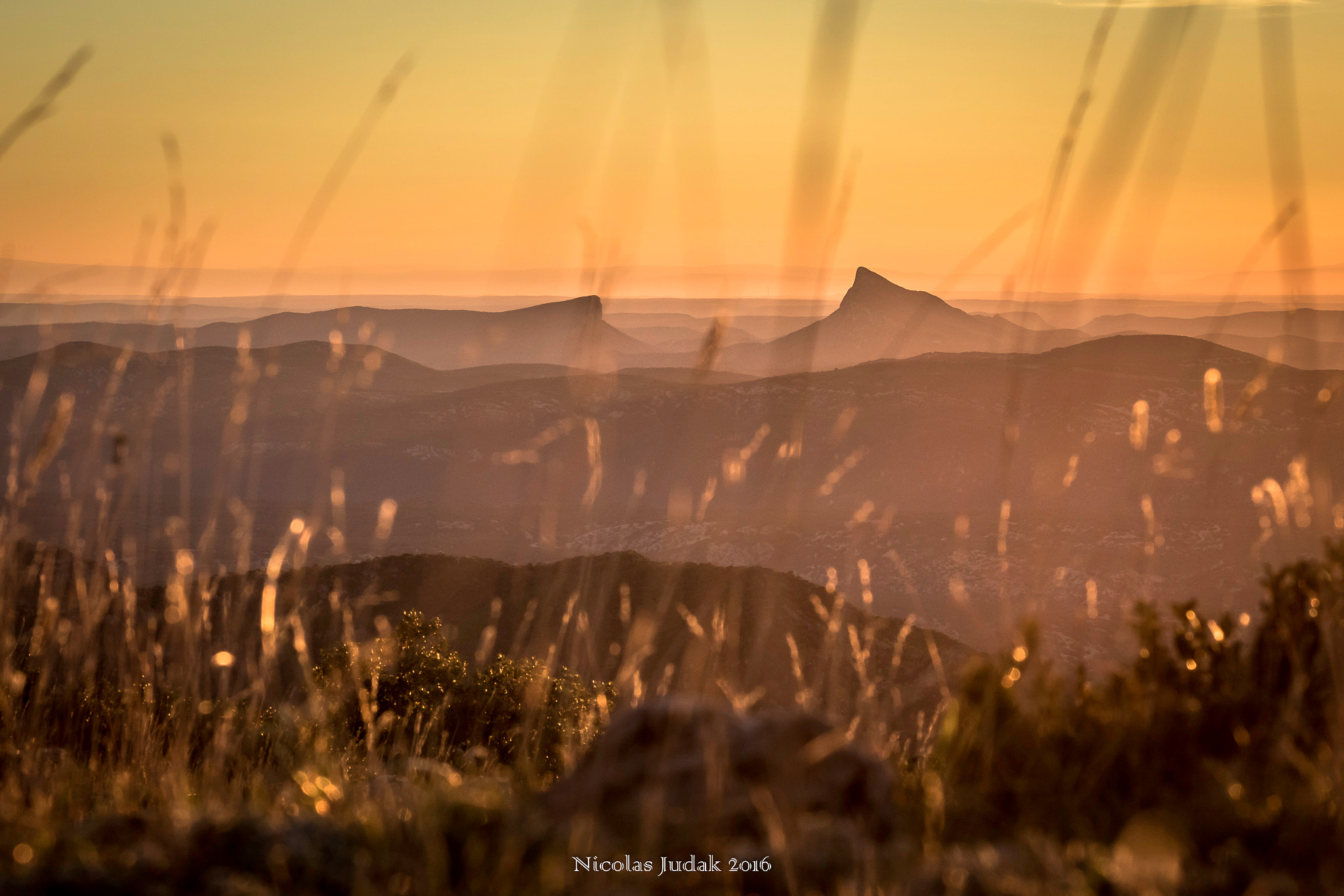 Canon EOS 7D Mark II + Tamron SP AF 90mm F2.8 Di Macro sample photo. Pic st loup photography