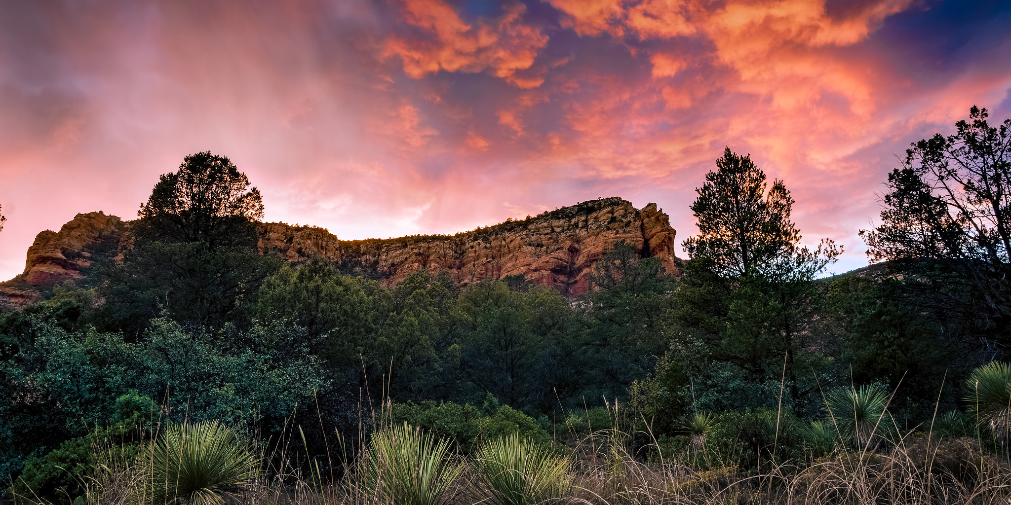 Canon EF-S 17-55mm F2.8 IS USM sample photo. Sedona rain and magenta mountains photography