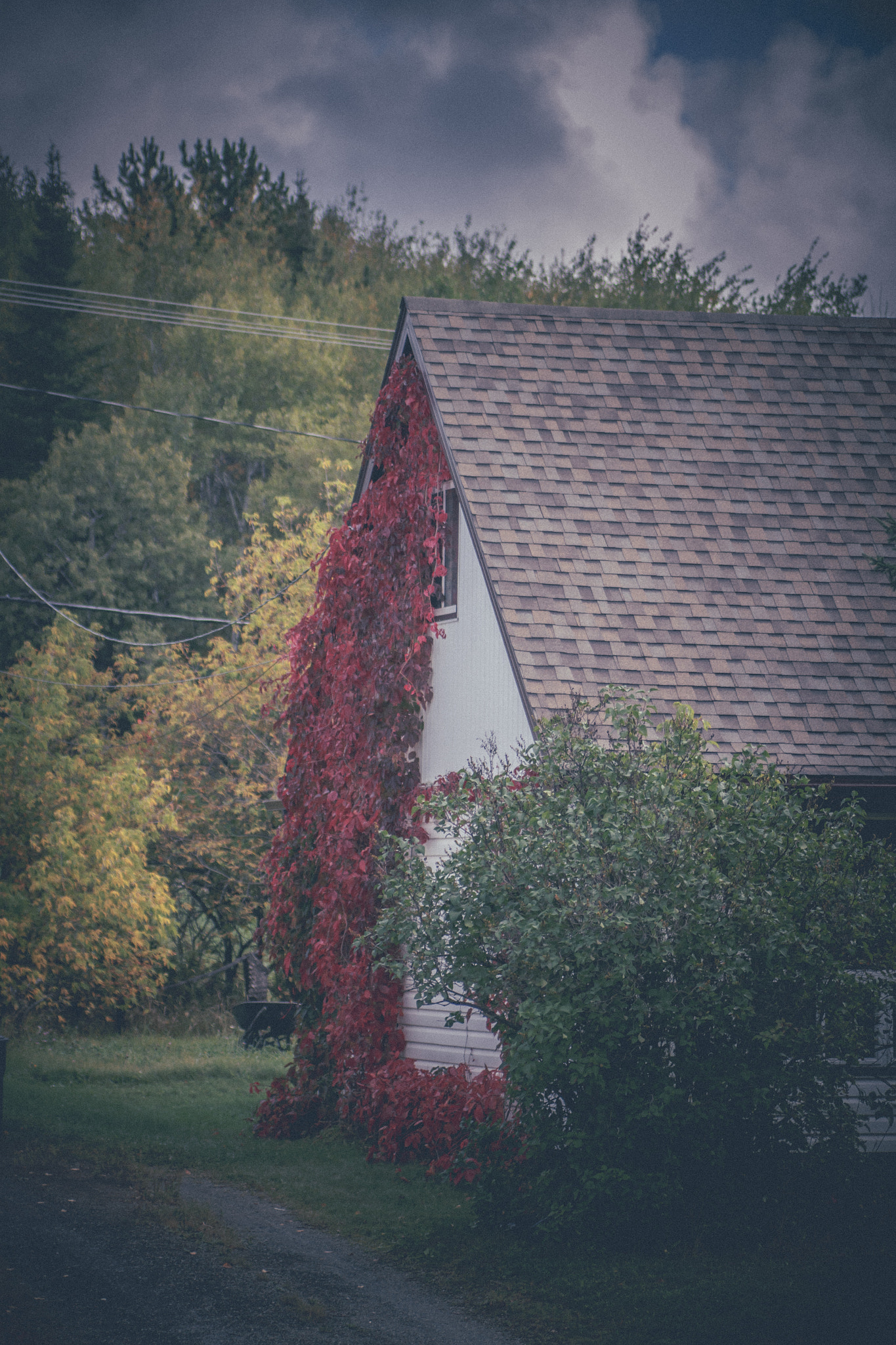 Canon EOS 70D sample photo. Decorated in autumn photography