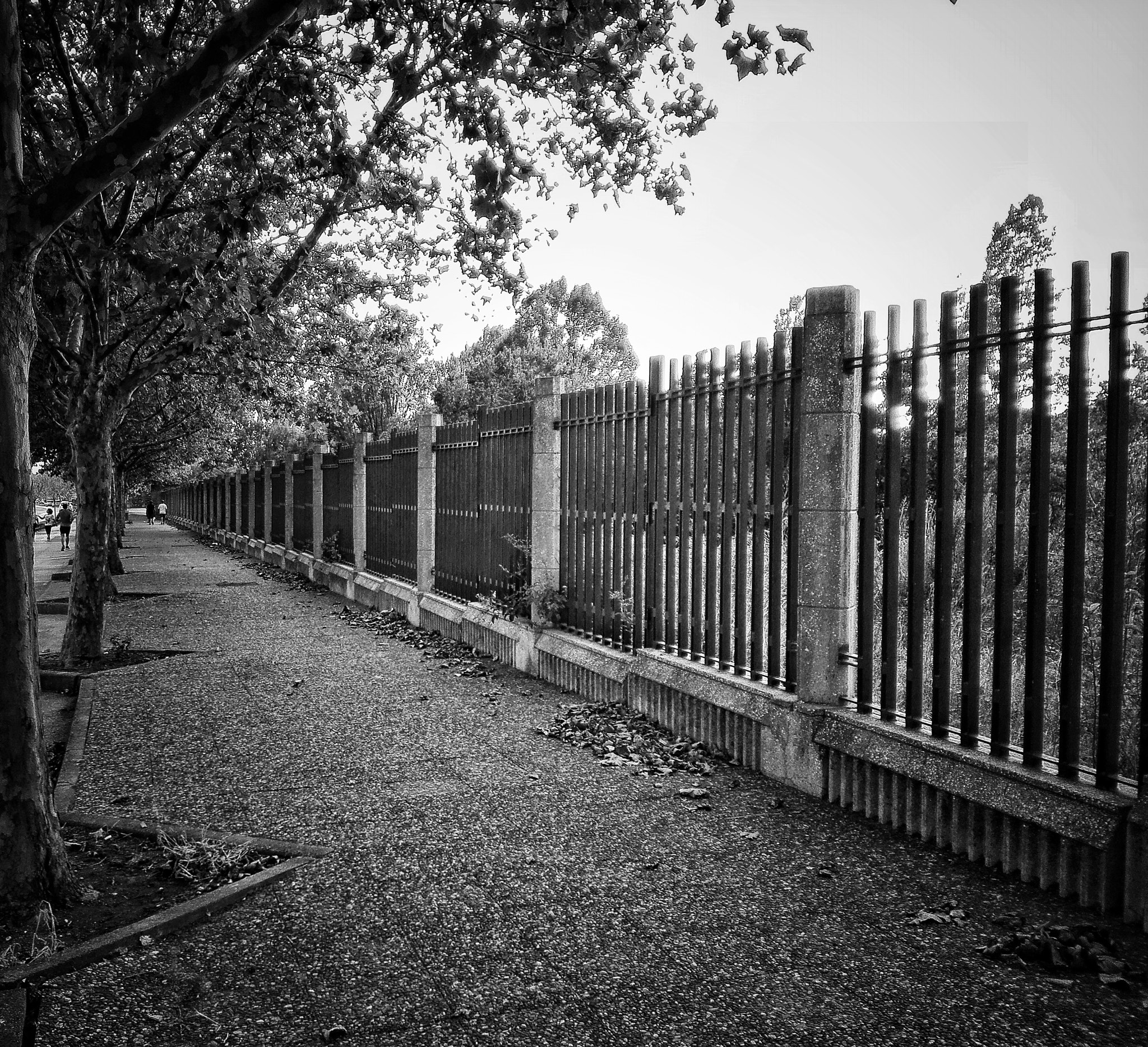 HUAWEI Cherry Mini sample photo. Passeggiare photography