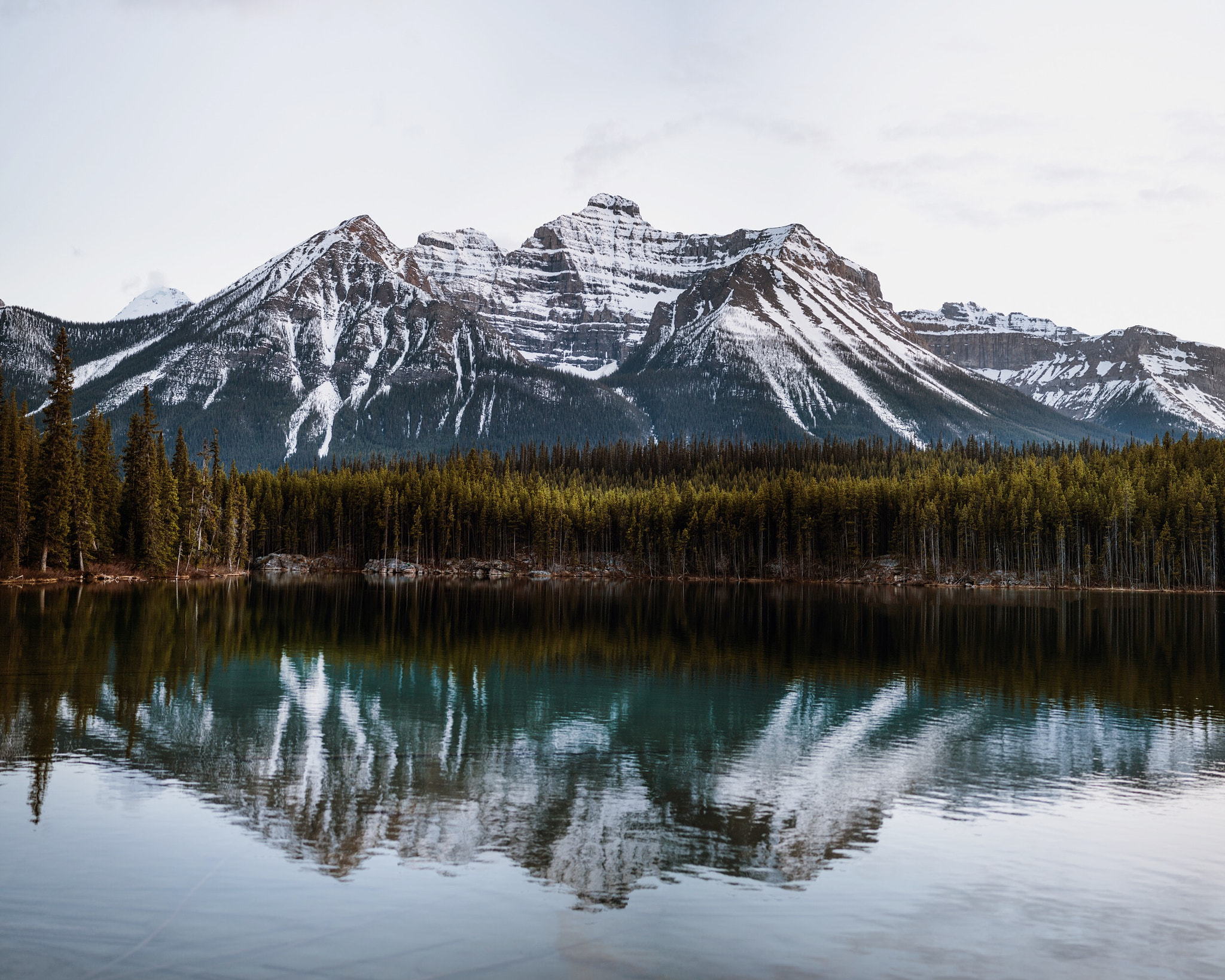 Nikon D4 + Nikon AF-S Nikkor 85mm F1.8G sample photo. Herbert lake. mount st piran. banff. alberta. photography
