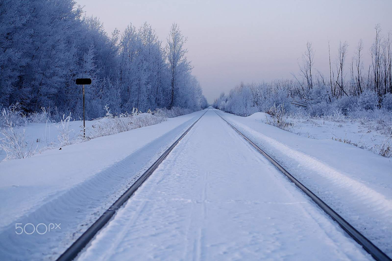 Canon EF 55-200mm F4.5-5.6 II USM sample photo. Winter wonderland photography