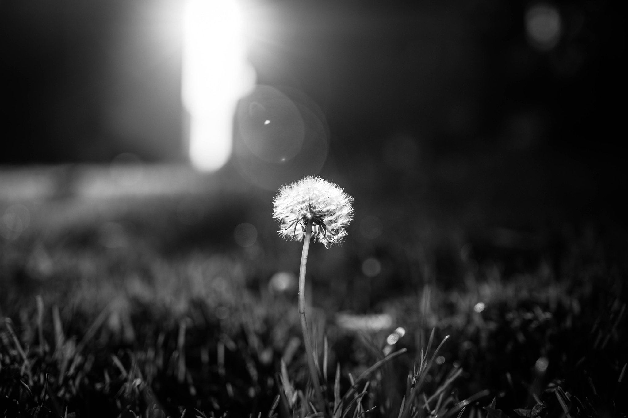 Tamron SP 35mm F1.8 Di VC USD sample photo. 7b5a0984-1.jpg photography