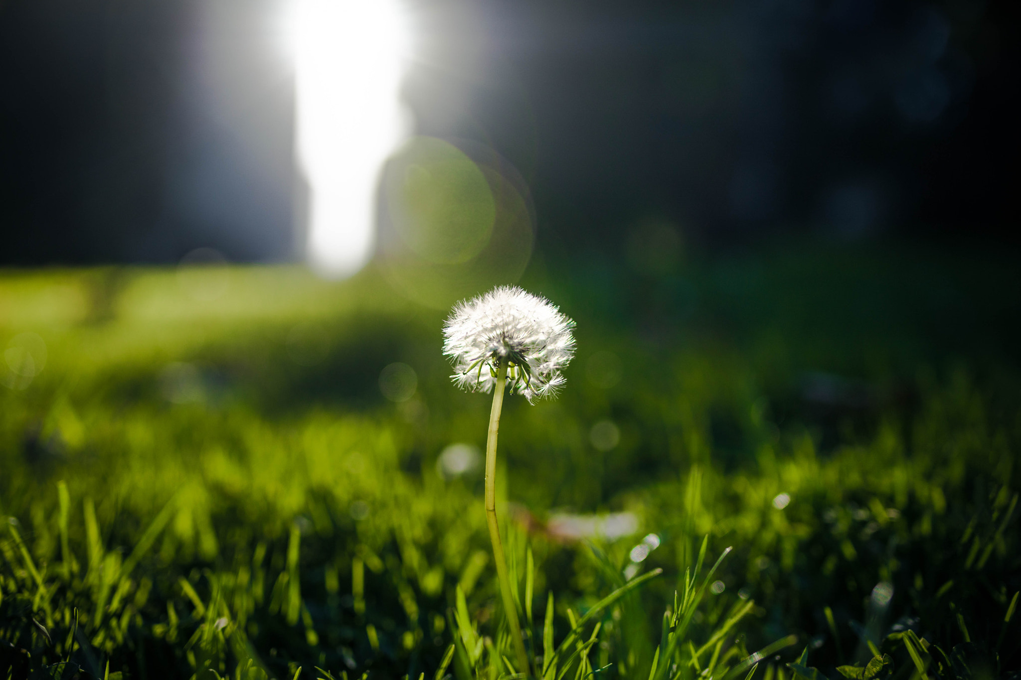 Tamron SP 35mm F1.8 Di VC USD sample photo. 7b5a0984-2.jpg photography