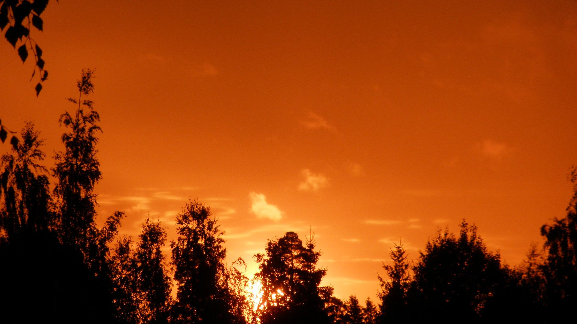 Olympus FE340,X855,C560 sample photo. Sunrise  - "the sky is on fire" photography