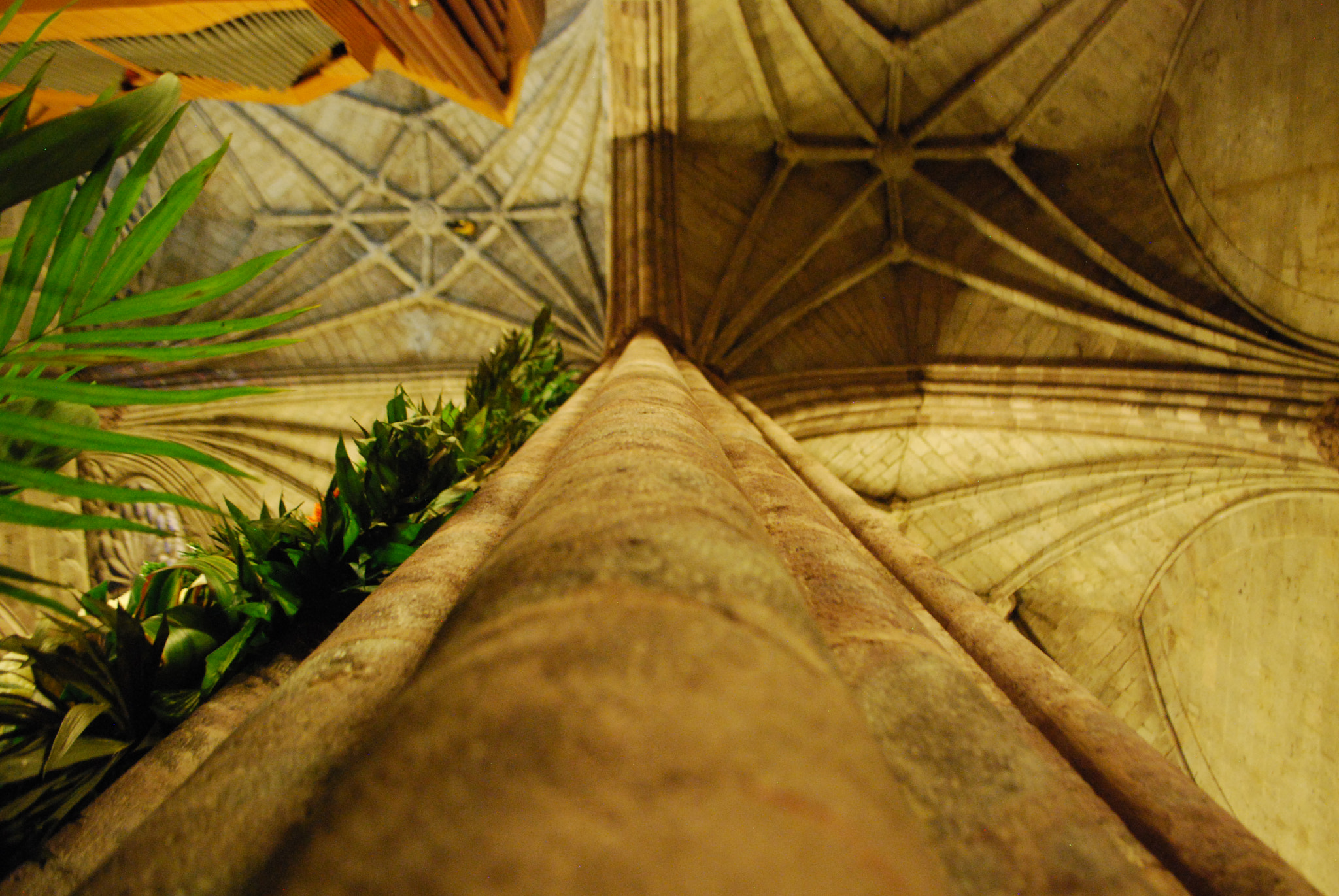 Nikon D40X sample photo