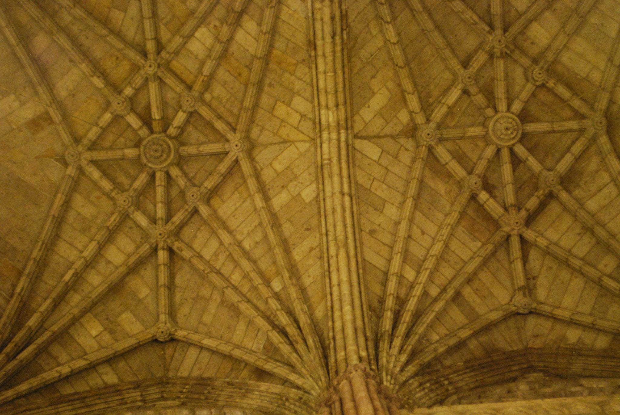 Nikon D40X sample photo