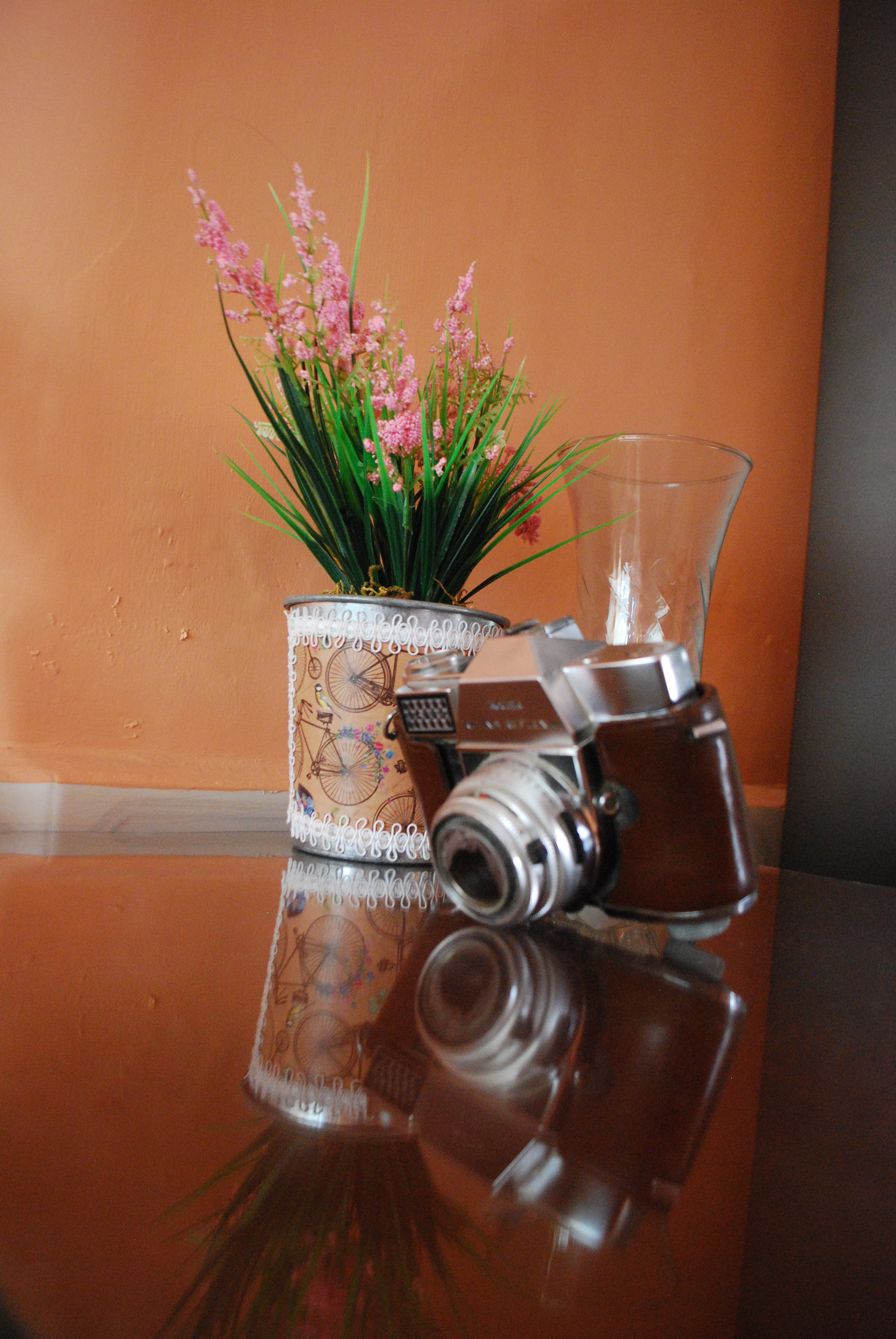 Nikon D40X sample photo