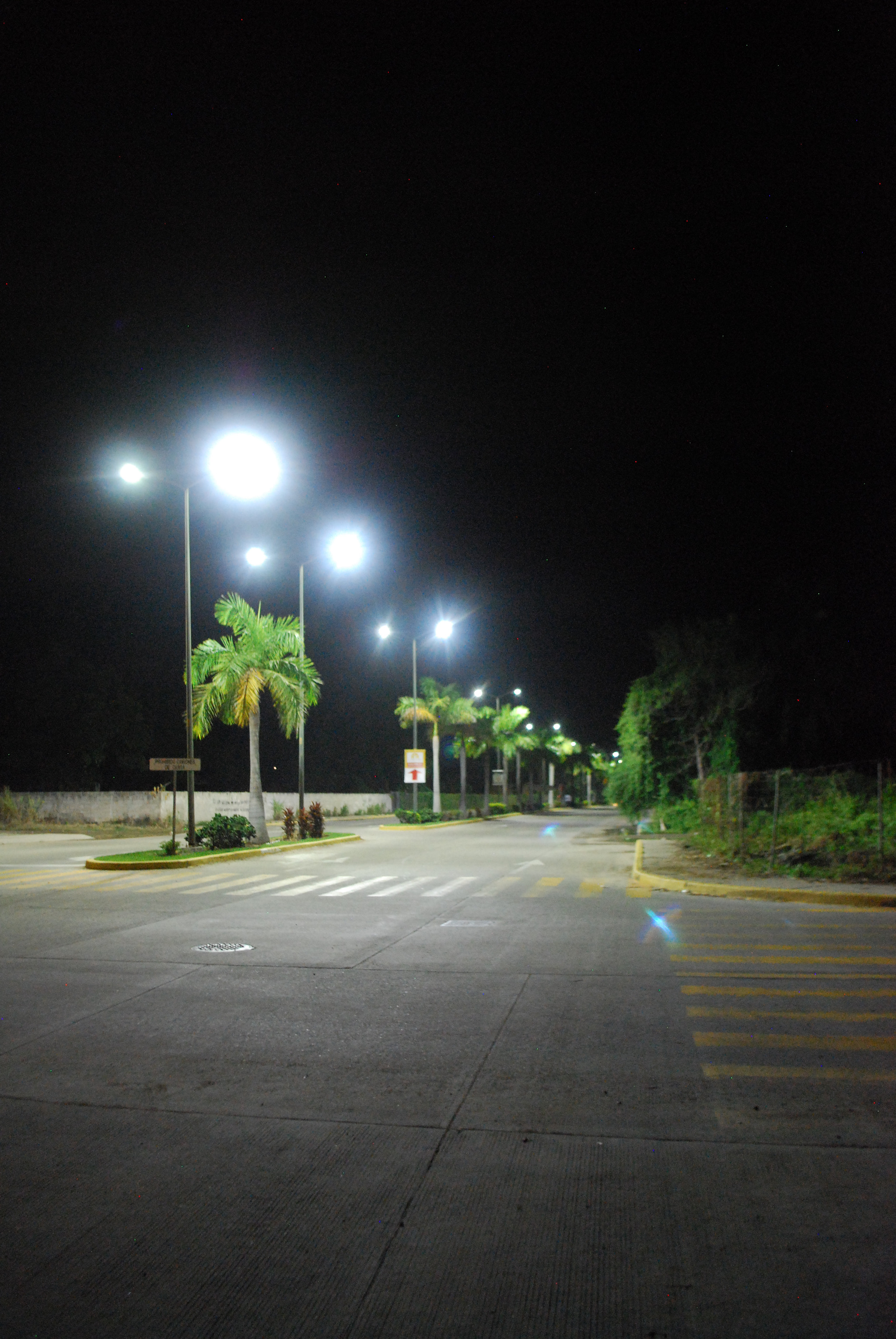Nikon D40X sample photo