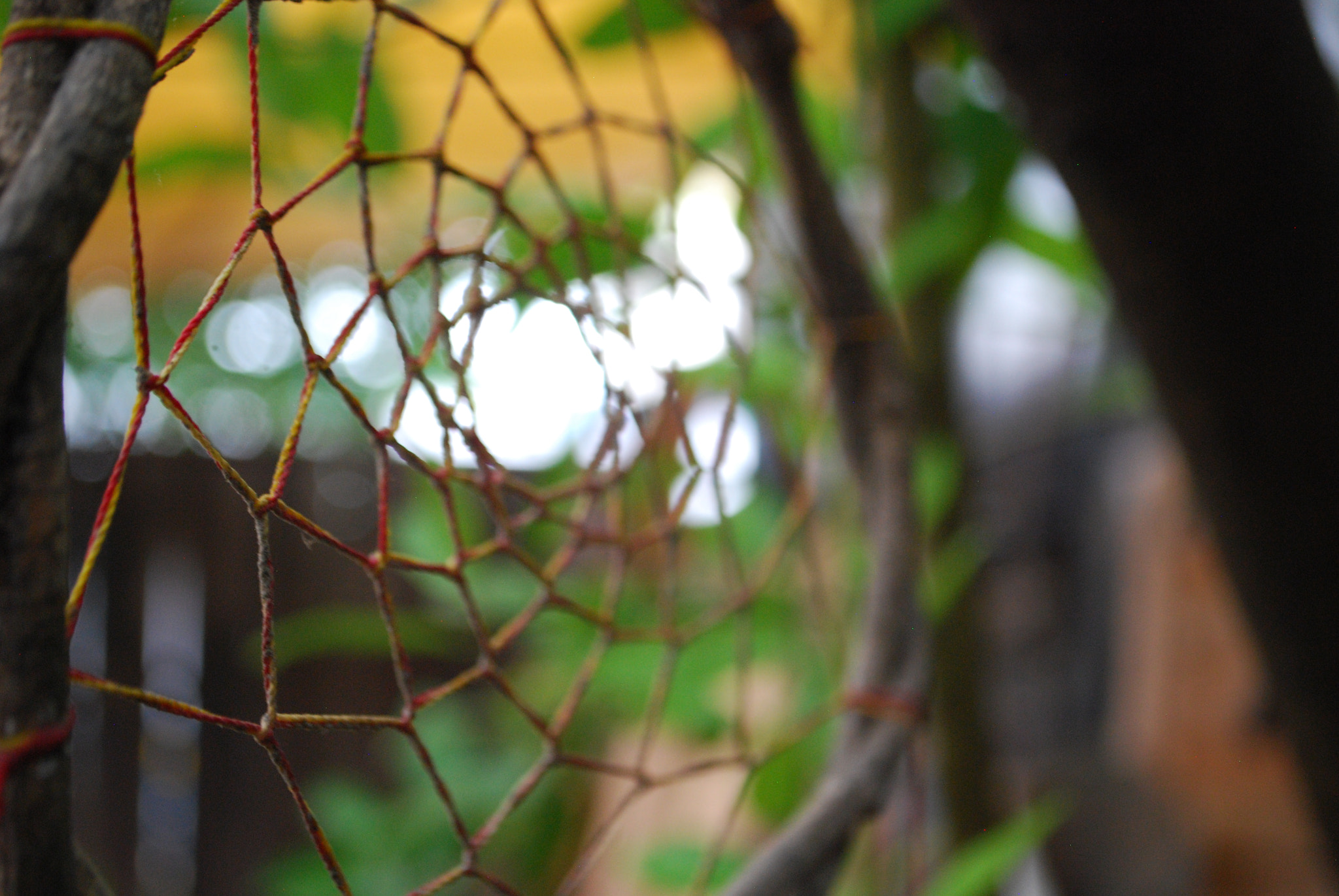 Nikon D40X sample photo