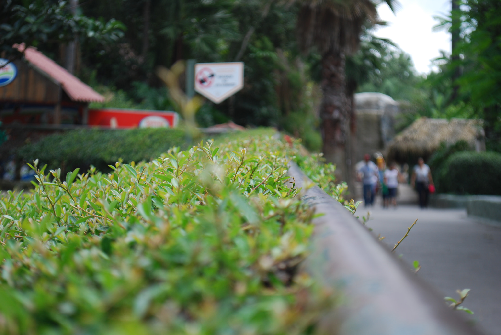 Nikon D40X sample photo