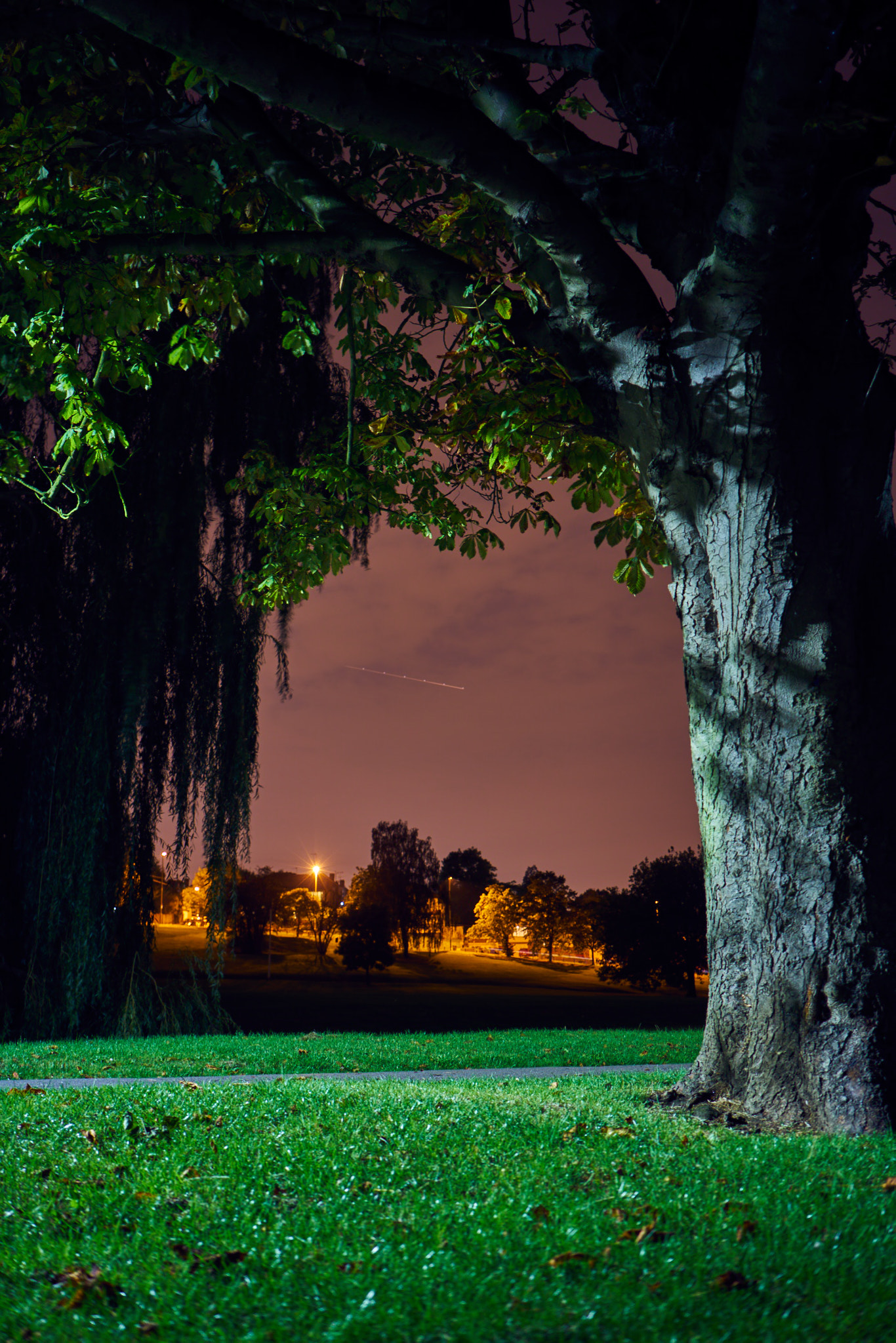 Sony a7R II + Sony Sonnar T* FE 35mm F2.8 ZA sample photo. Into the darkness  photography