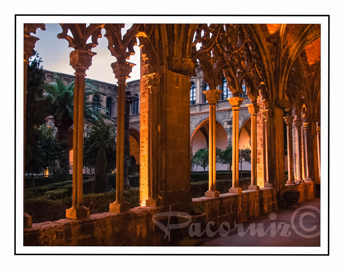 OLYMPUS 18mm-180mm Lens sample photo. Capitania photography
