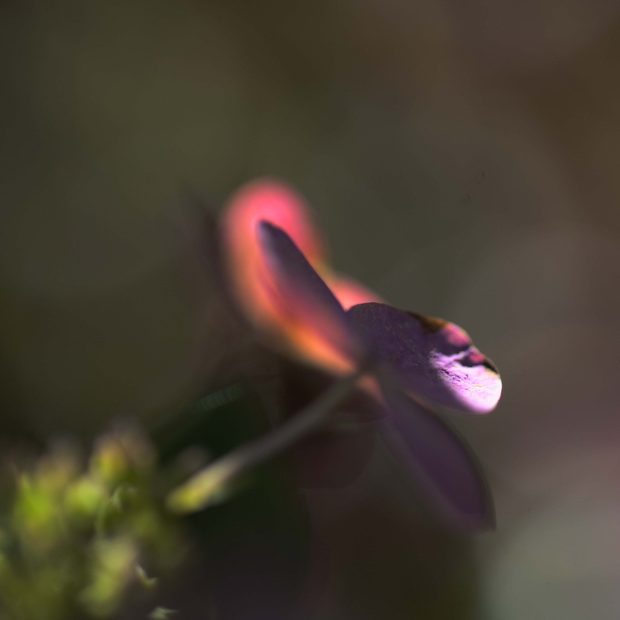 Nikon D3 sample photo