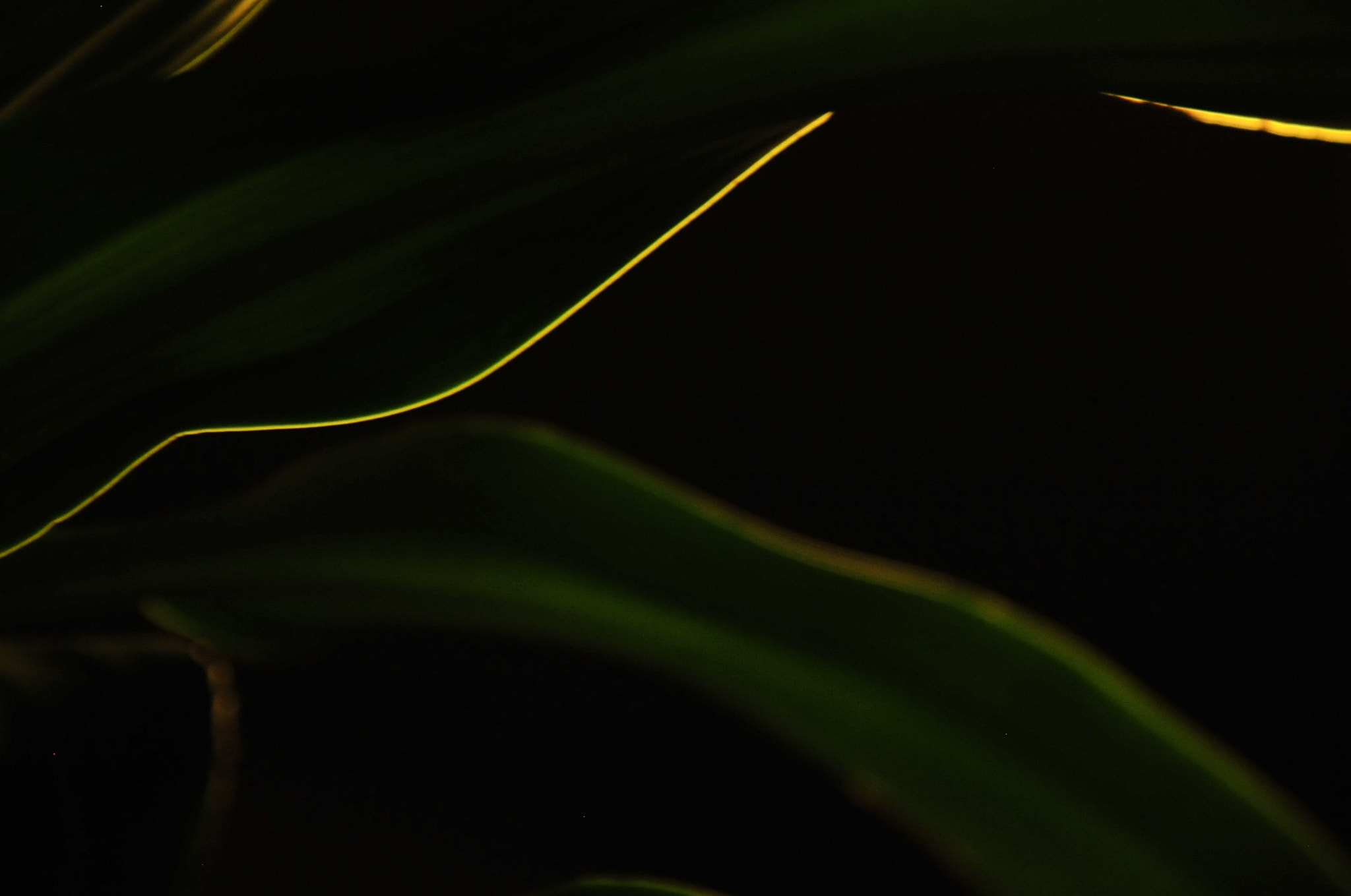 Nikon D3 sample photo. .. photography