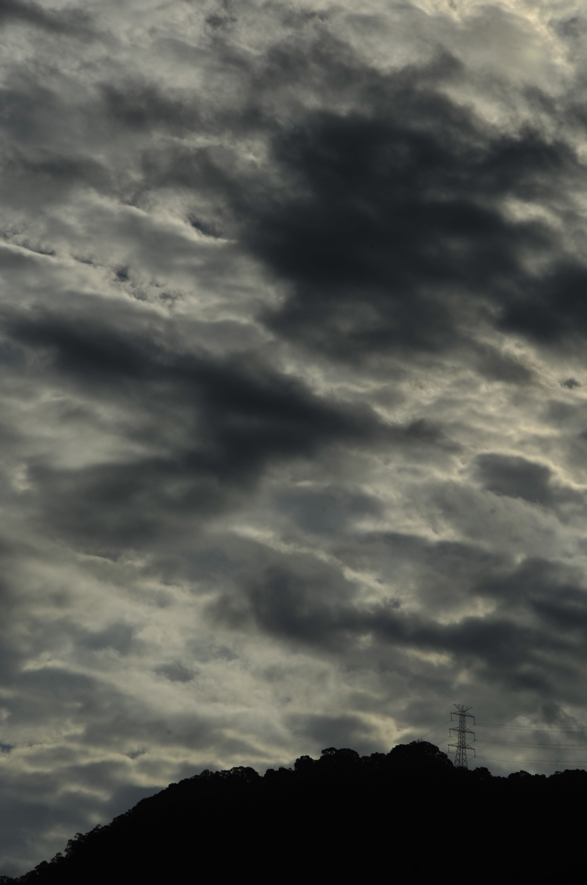 Nikon D3 sample photo. .. photography