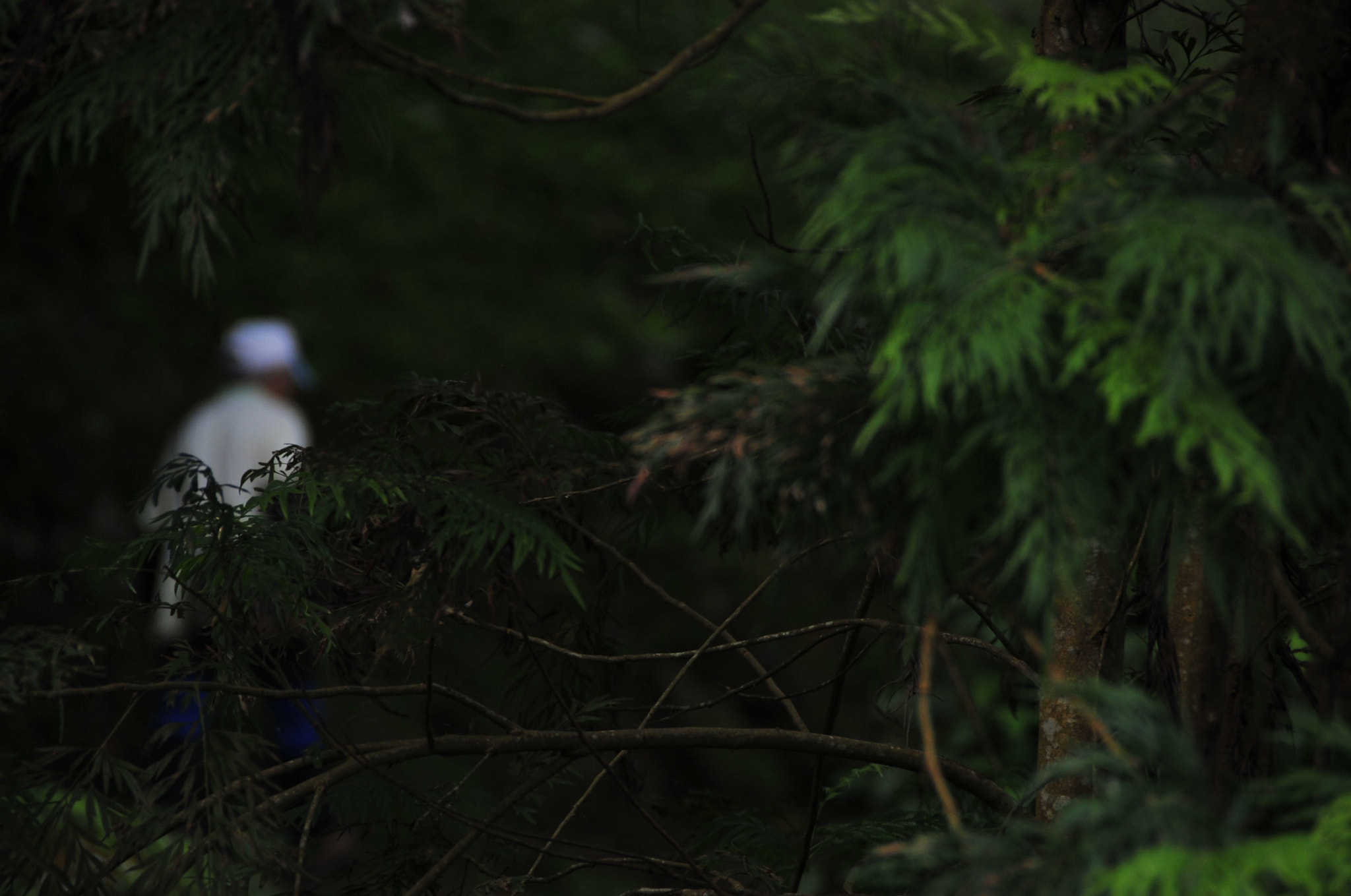 Nikon D3 sample photo. .. photography
