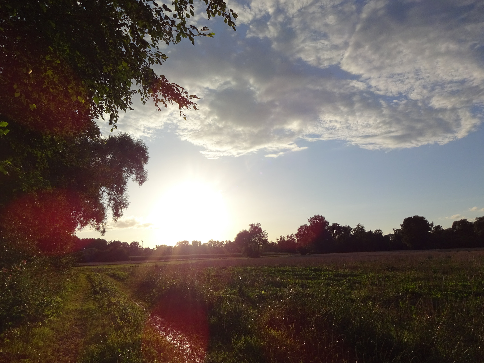 Sony Cyber-shot DSC-WX220 sample photo. The last summerdays photography