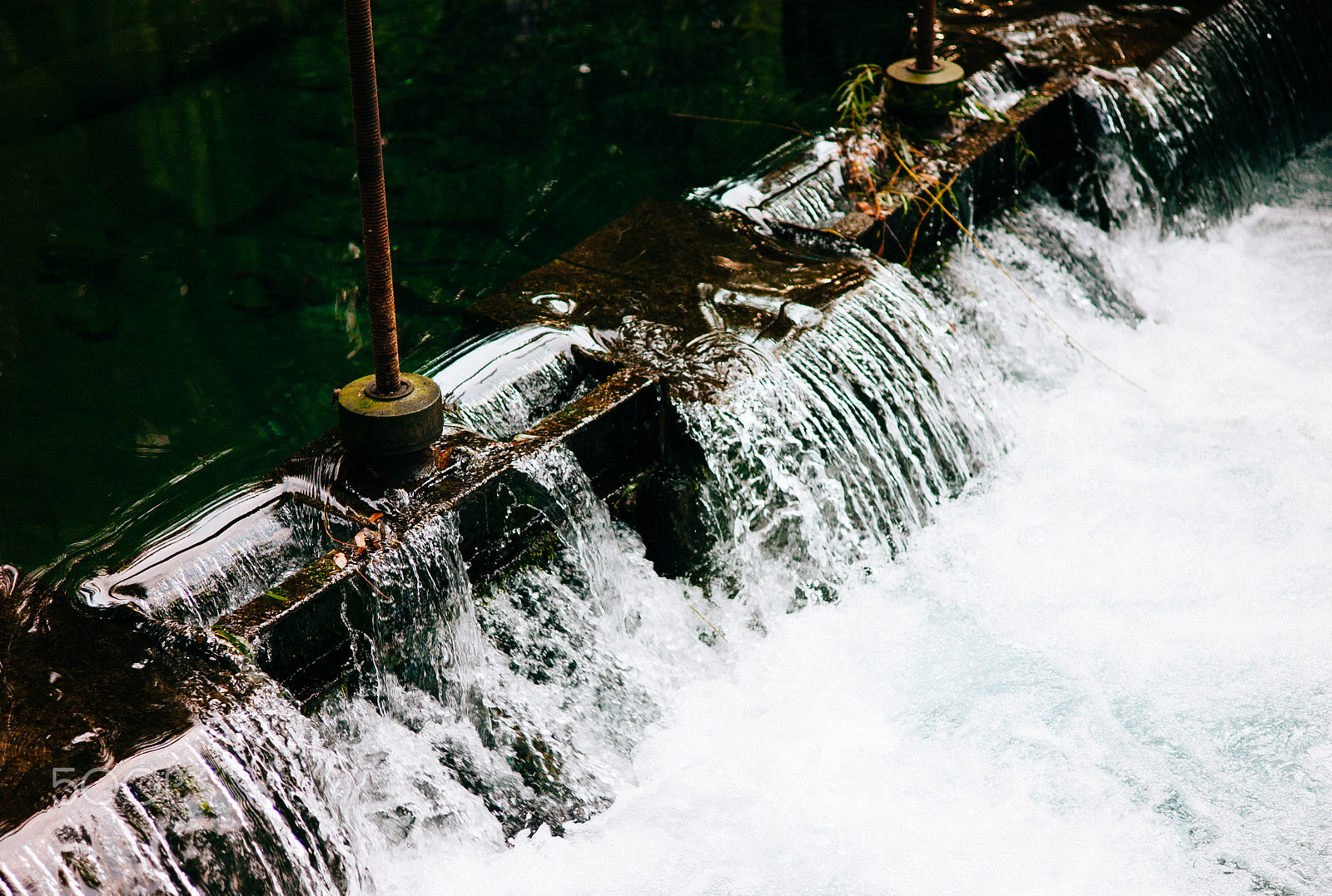 Leica Summarit-M 50mm F2.5 sample photo. 趵突泉 photography