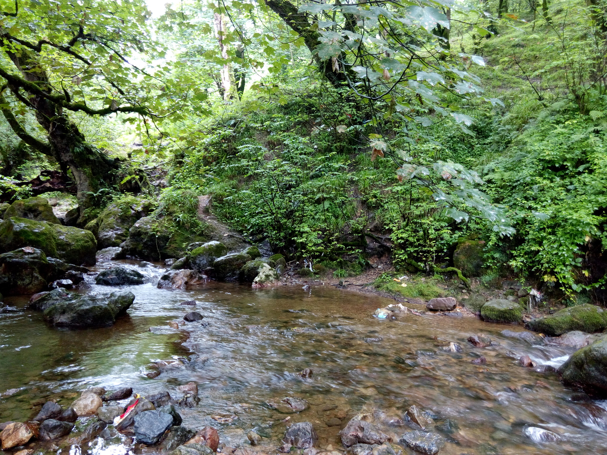 HTC DESIRE 816G DUAL SIM sample photo. Untitled photography