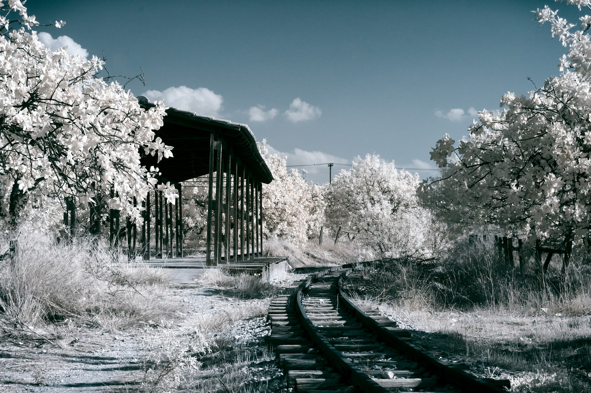 Sony E 16-50mm F3.5-5.6 PZ OSS sample photo. Abandoned train tracks photography