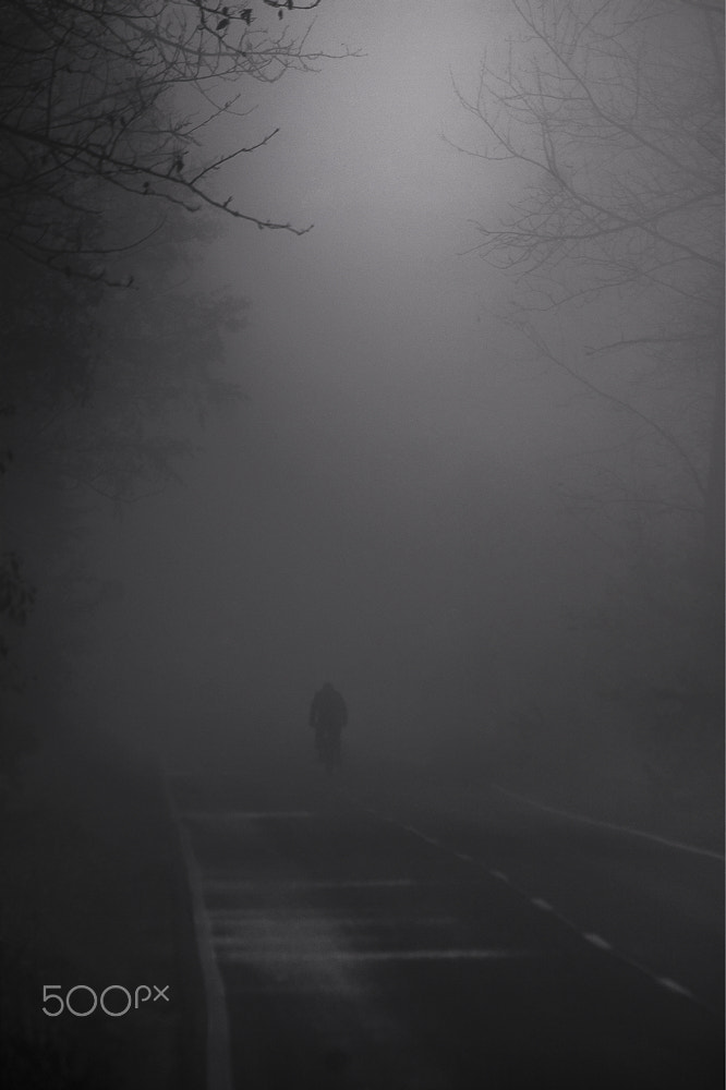 Canon EF-S 55-250mm F4-5.6 IS sample photo. Fog photography