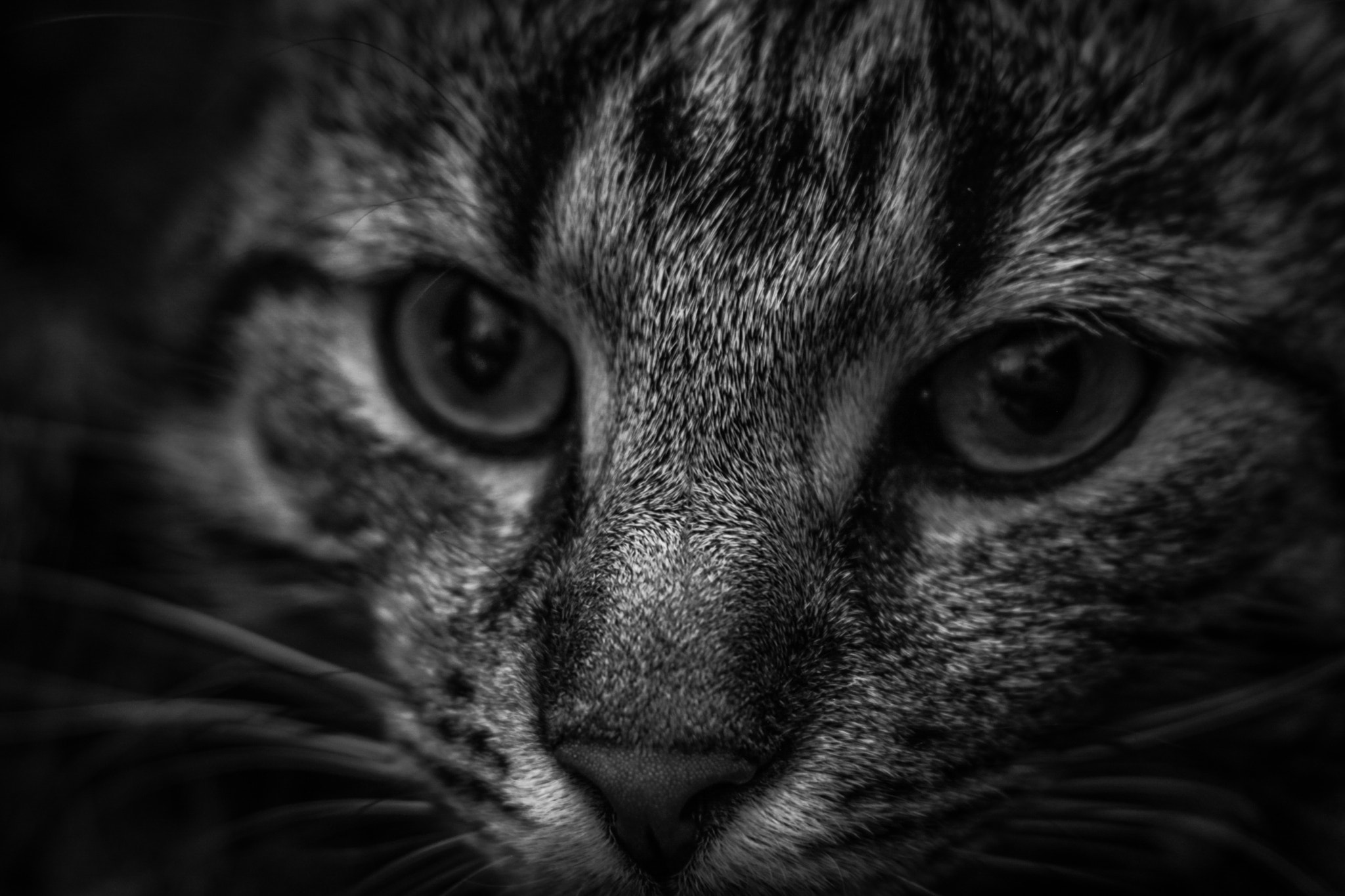 Canon EF 35-80mm f/4-5.6 sample photo. Olaf photography