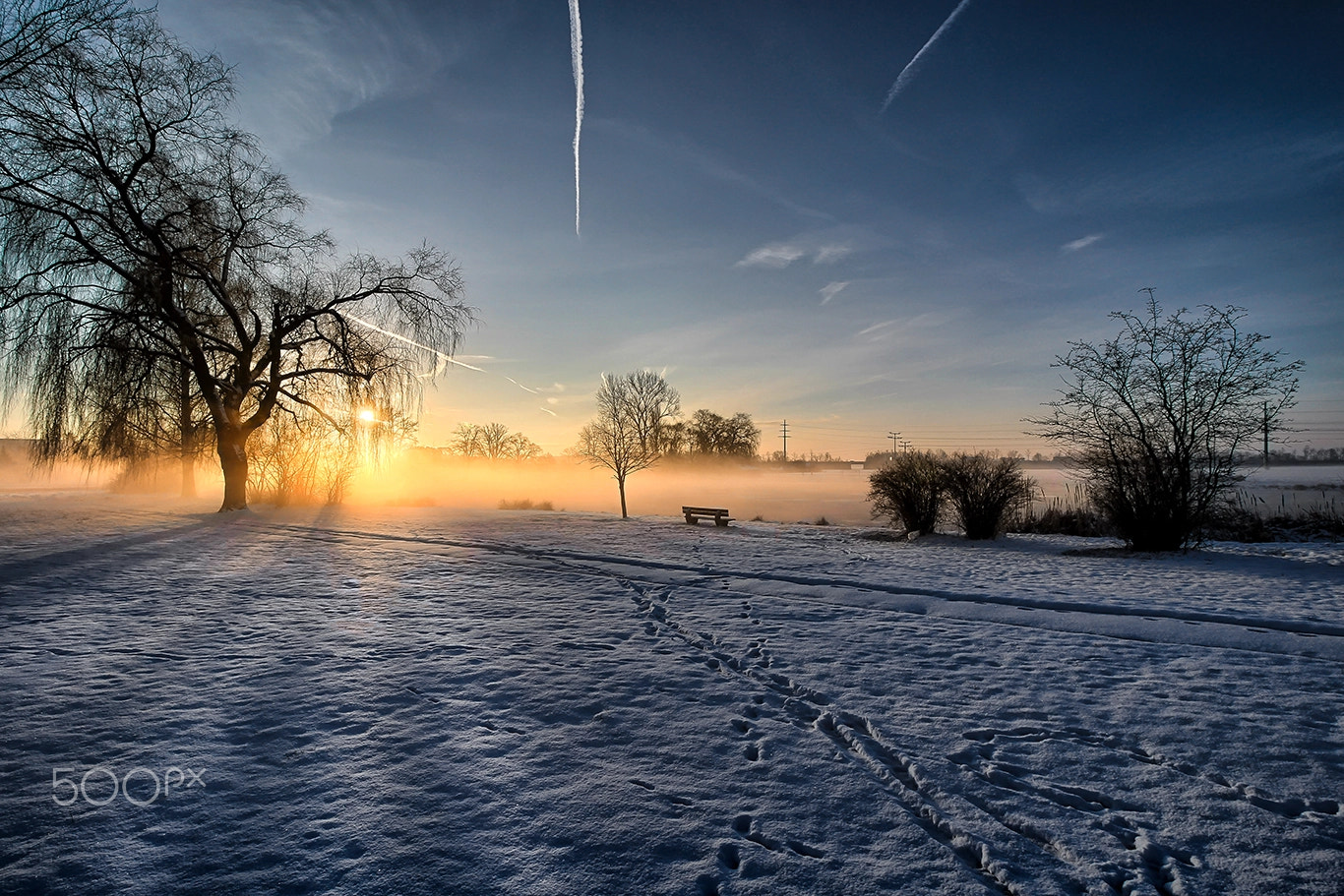 Canon EOS 60D sample photo. Morning winter light part 2 photography