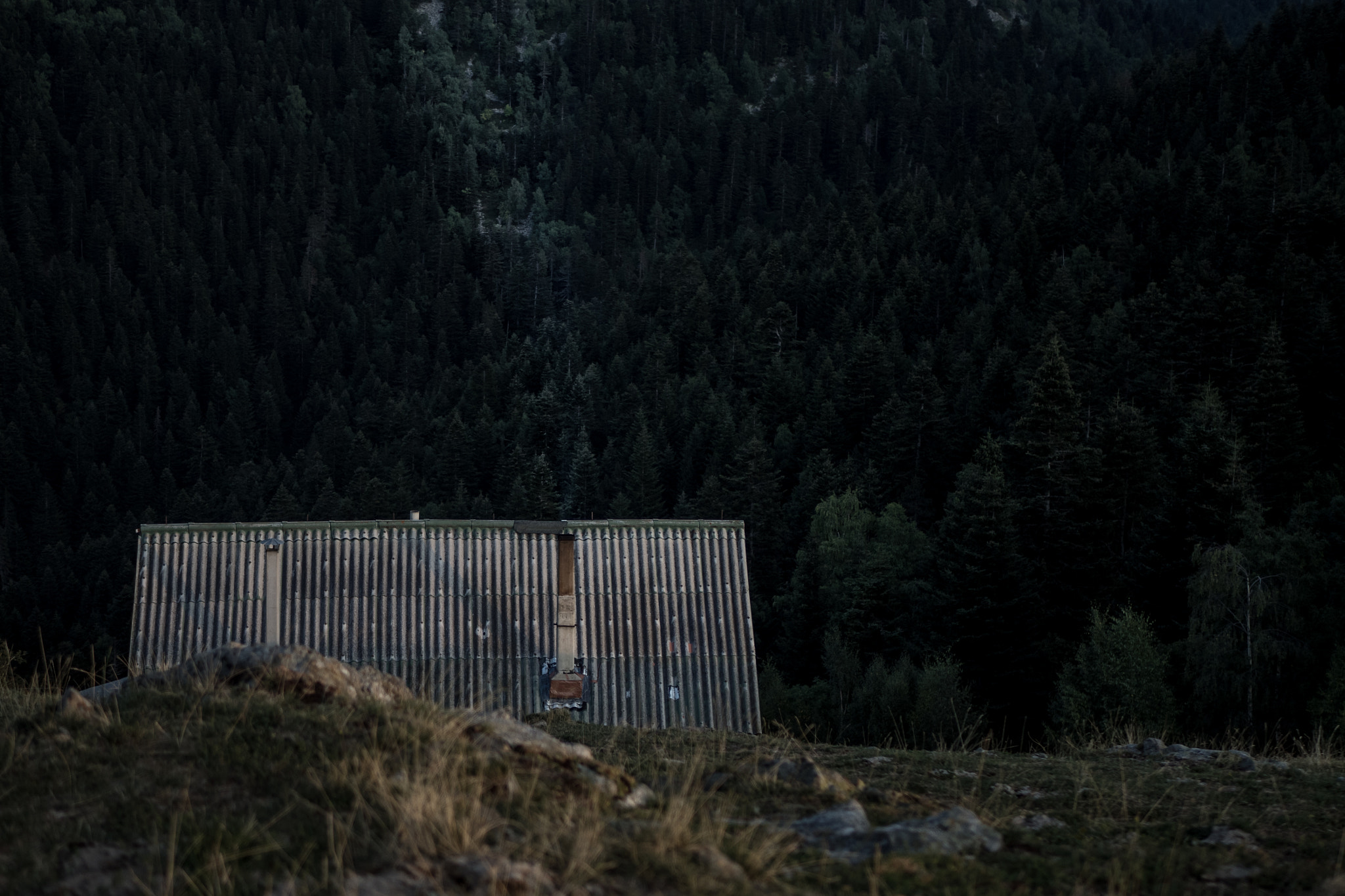 Olympus OM-D E-M5 II + LUMIX G 25/F1.7 sample photo. Gemütlichkeit in the woods photography