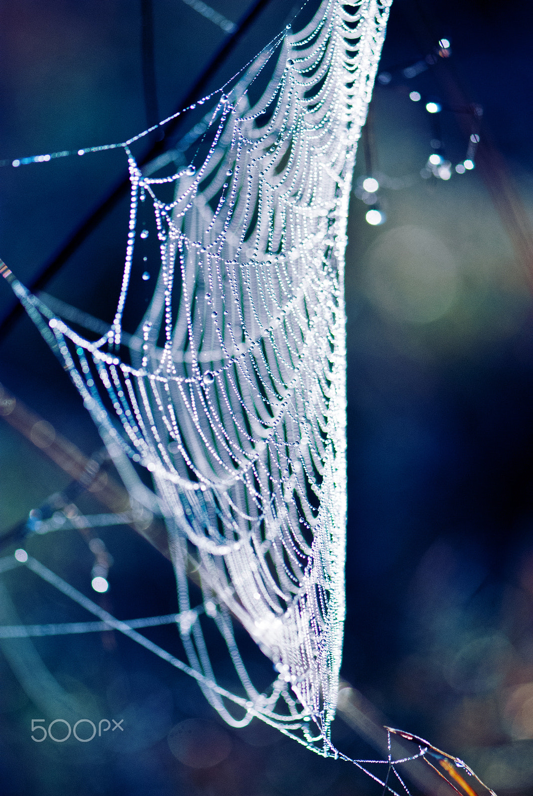 Nikon AF-S Micro-Nikkor 105mm F2.8G IF-ED VR sample photo. Gouttes en symphonie photography