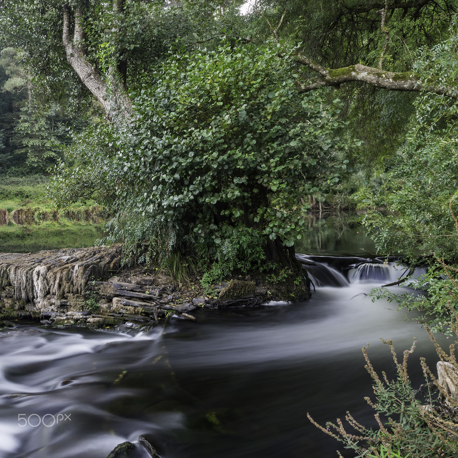 Pentax K-3 II sample photo. Curve on the river photography