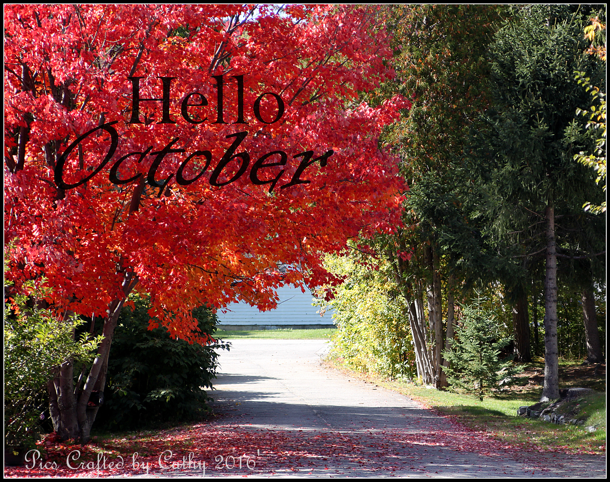 Canon EOS 500D (EOS Rebel T1i / EOS Kiss X3) sample photo. ~hello october~ photography