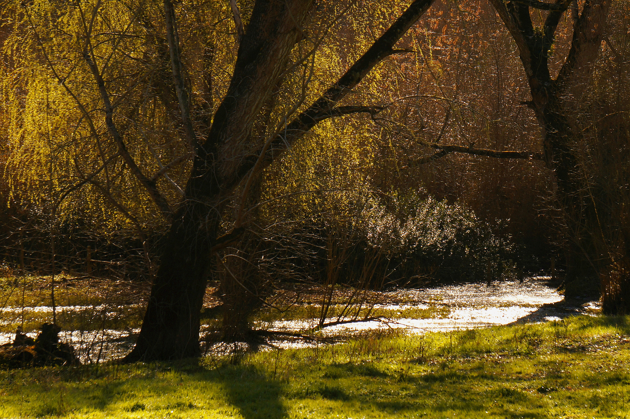 Sony FE 24-240mm F3.5-6.3 OSS sample photo. Peaceful pleace  photography