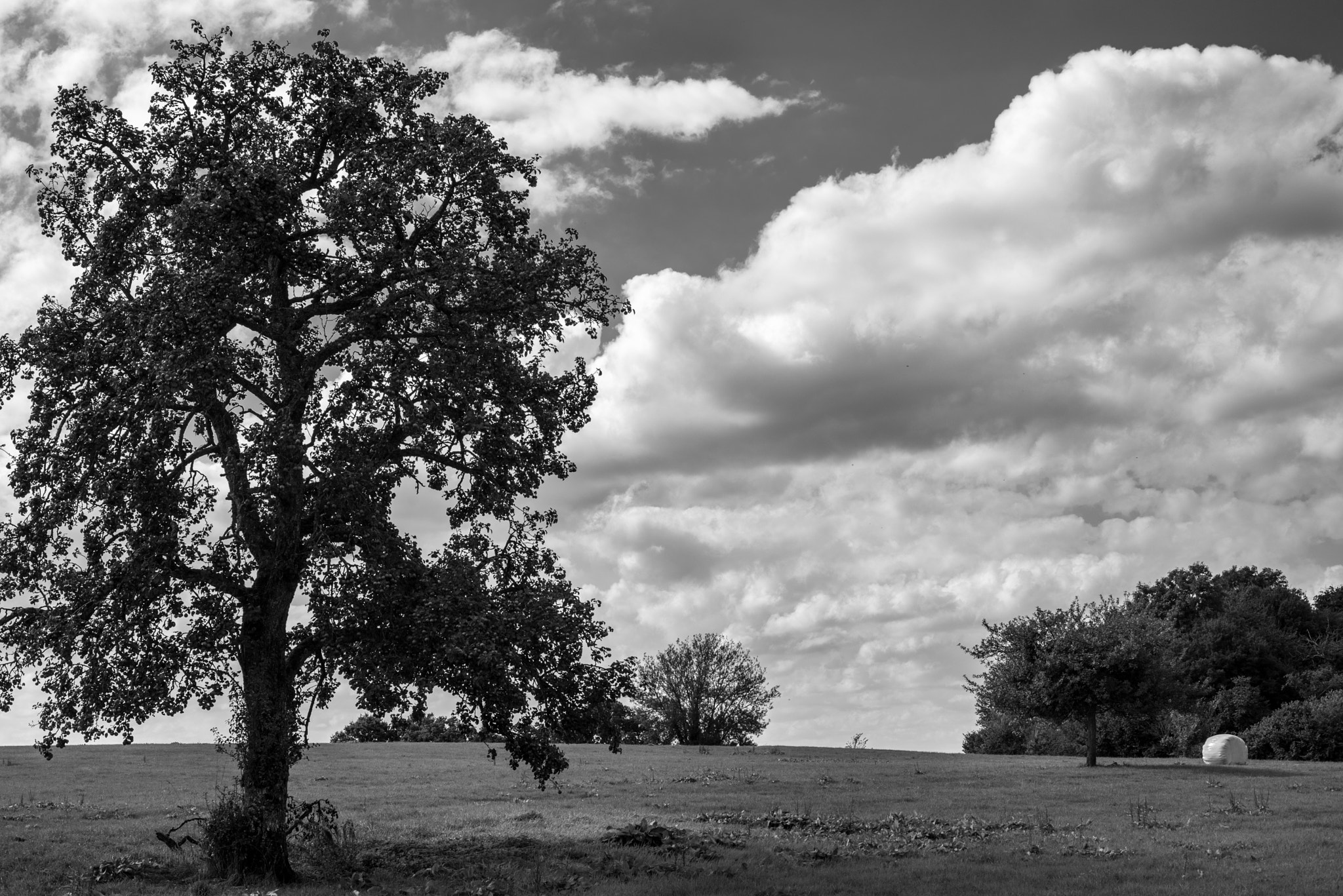 Nikon D750 + AF Nikkor 50mm f/1.8 sample photo. End of summer in normandy photography