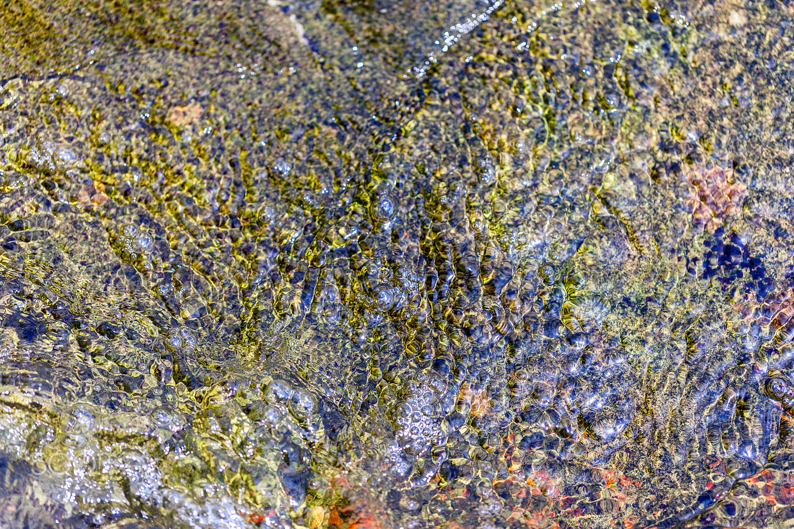 Canon EF 100mm F2.8L Macro IS USM sample photo. Bright colored stones from bottom of sea photography