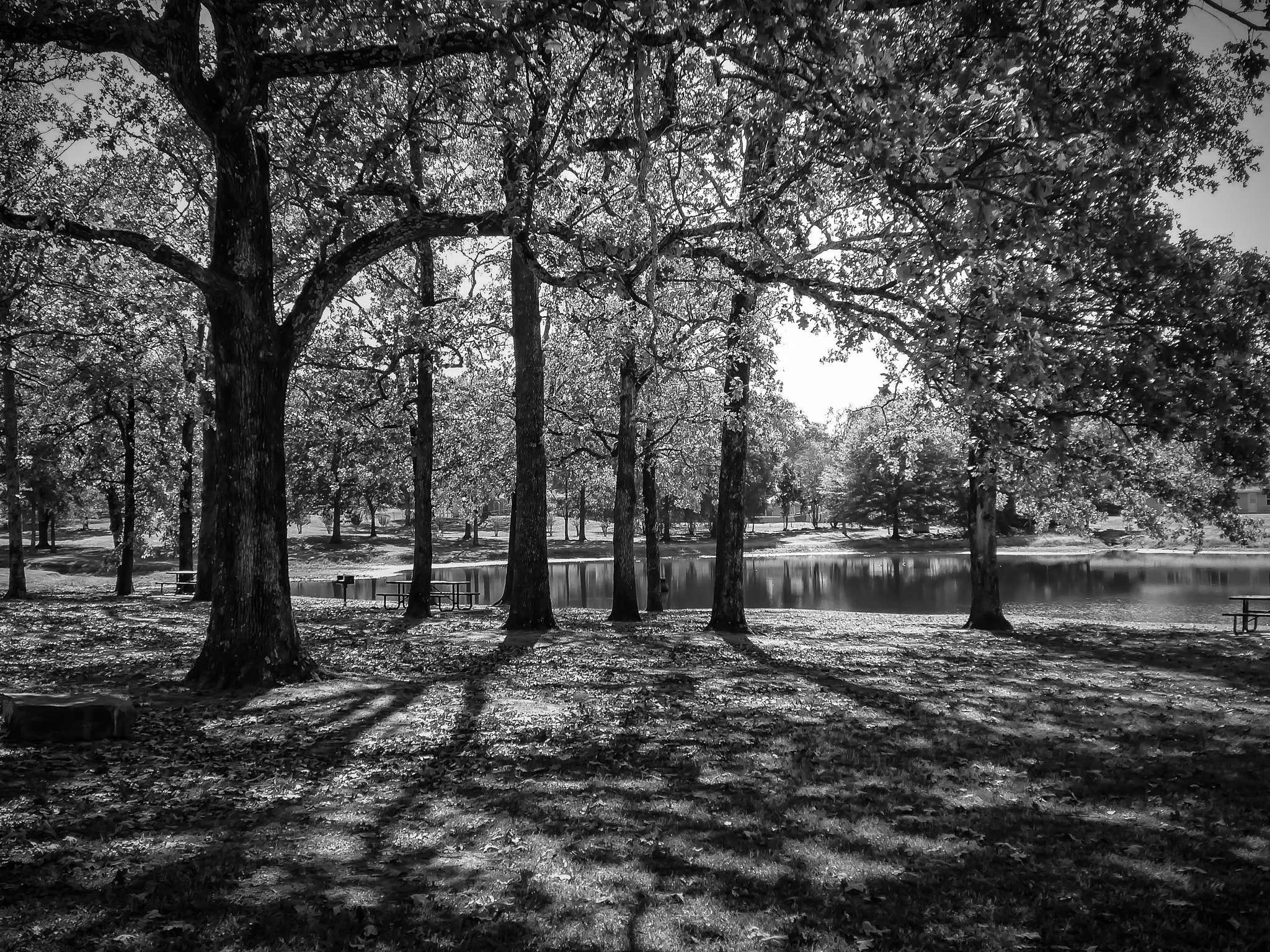 Leica C (Typ 112) sample photo. The light. photography