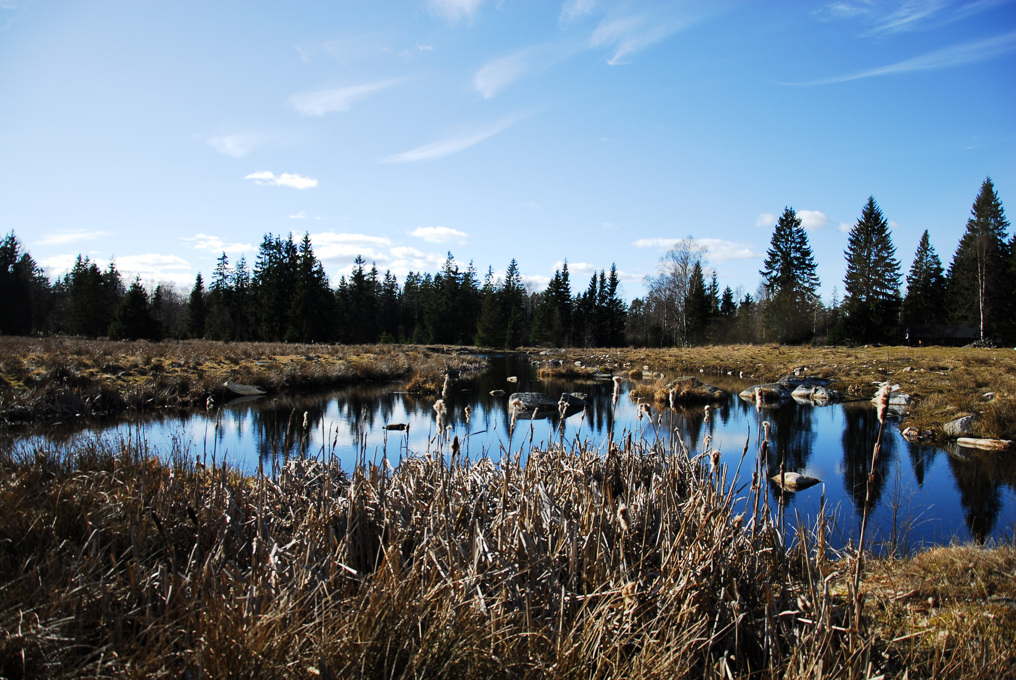 Nikon D200 sample photo. Lake in sweden photography