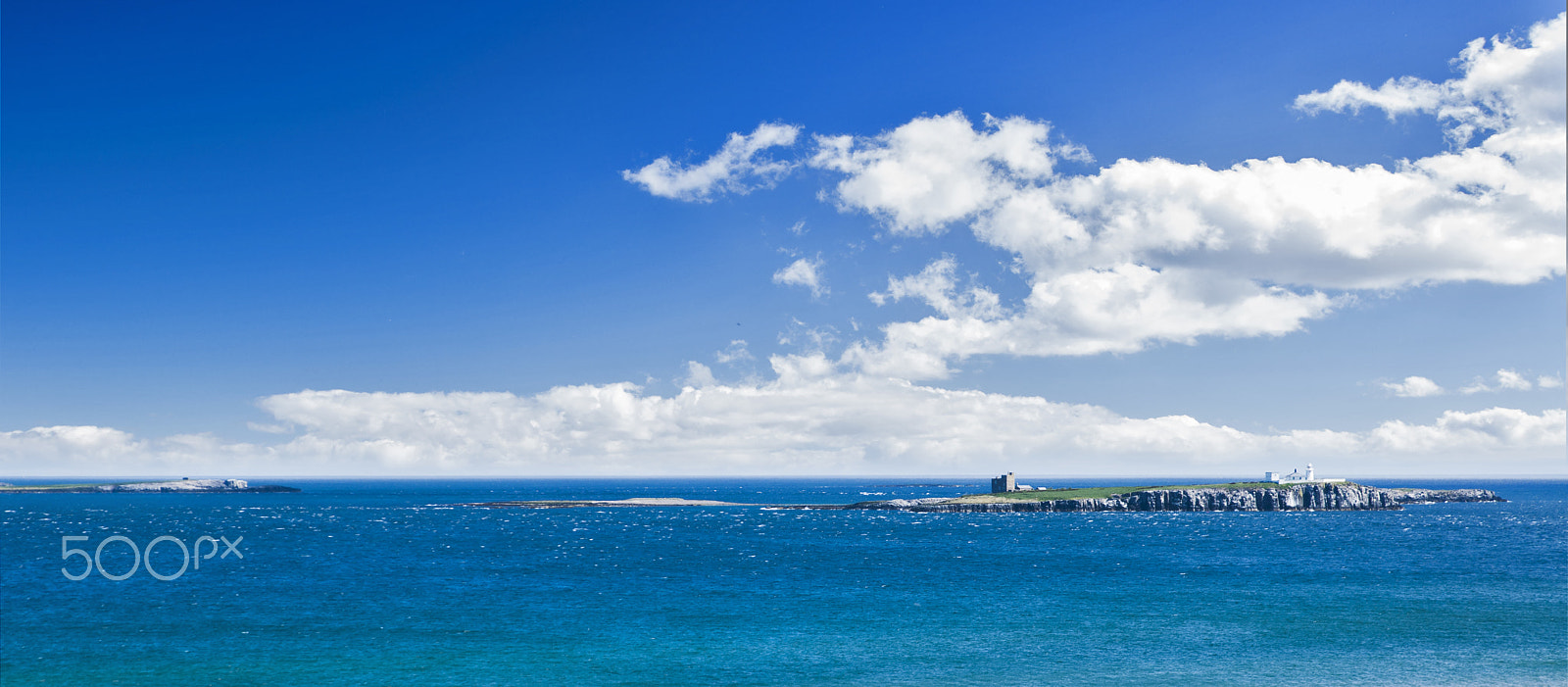 Nikon AF Nikkor 24-85mm F2.8-4D IF sample photo. Farne islands a photography