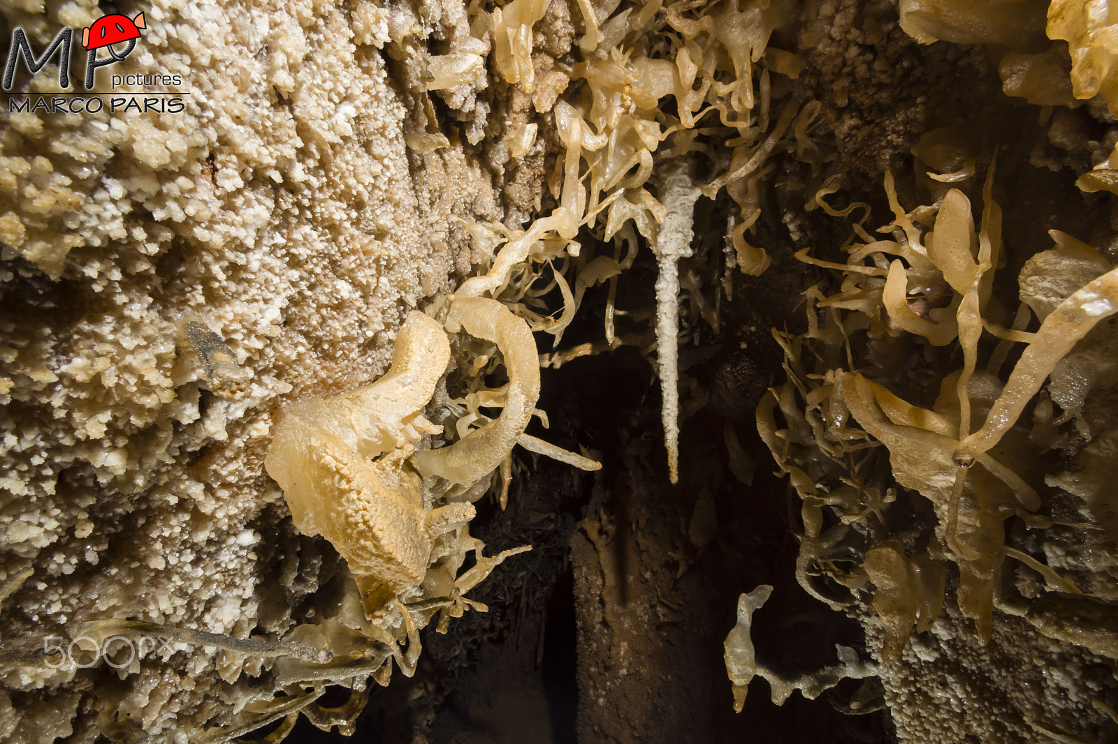 Sony SLT-A68 sample photo. Rrock tentacles photography