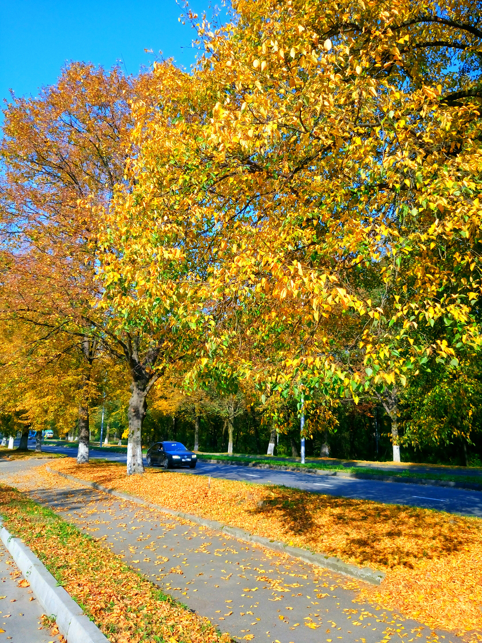 Sony Xperia M5 Dual sample photo