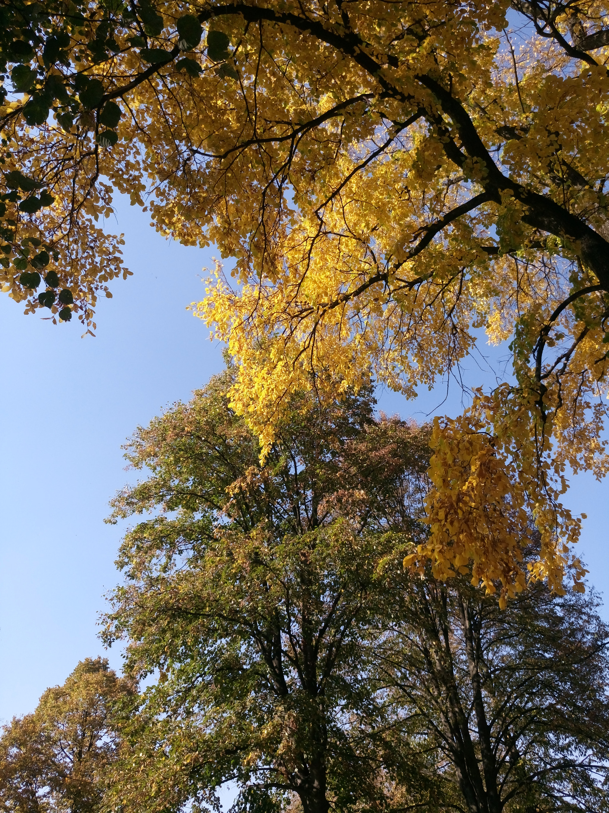 Sony Xperia M5 Dual sample photo