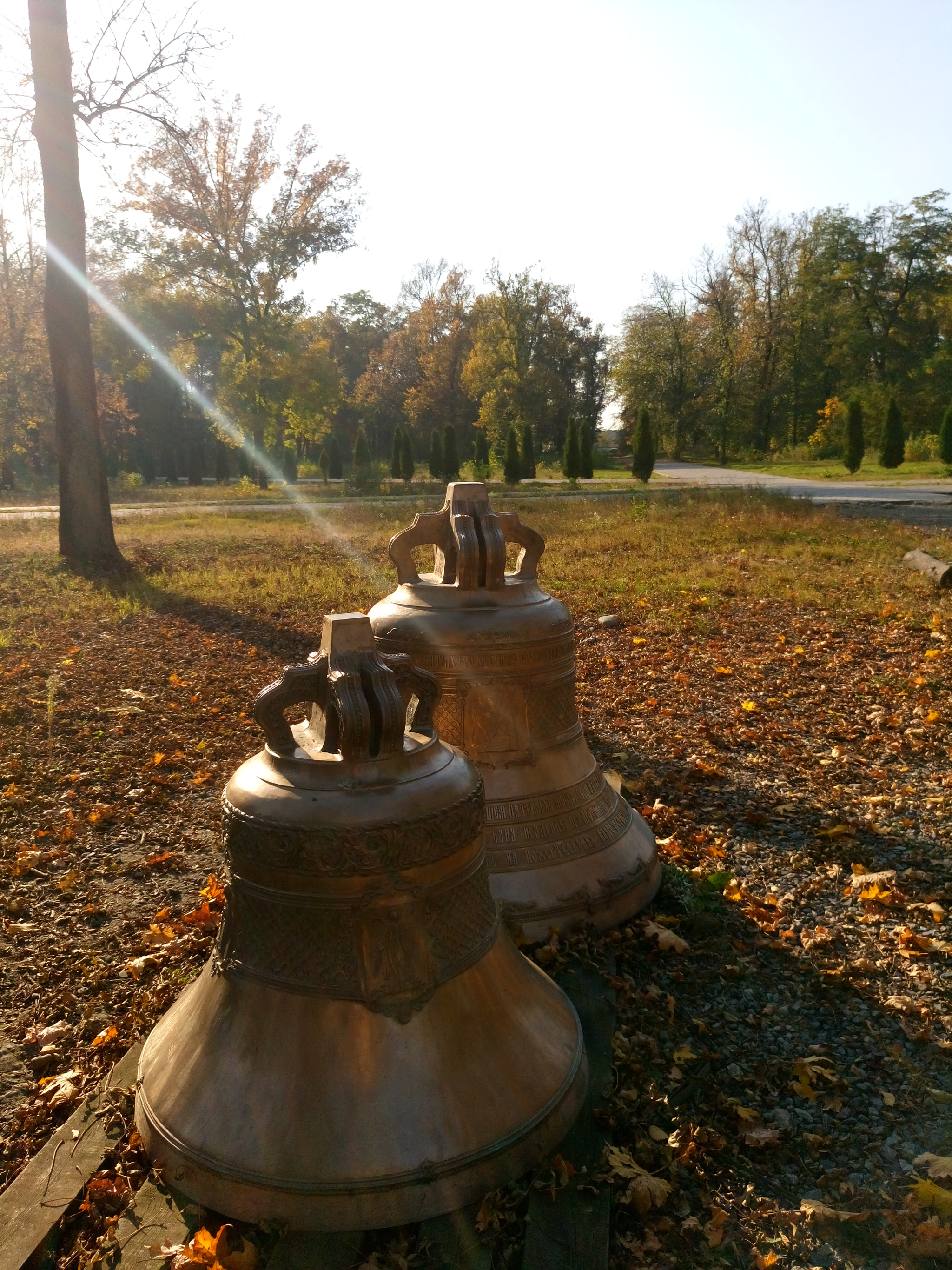 Sony Xperia M5 Dual sample photo