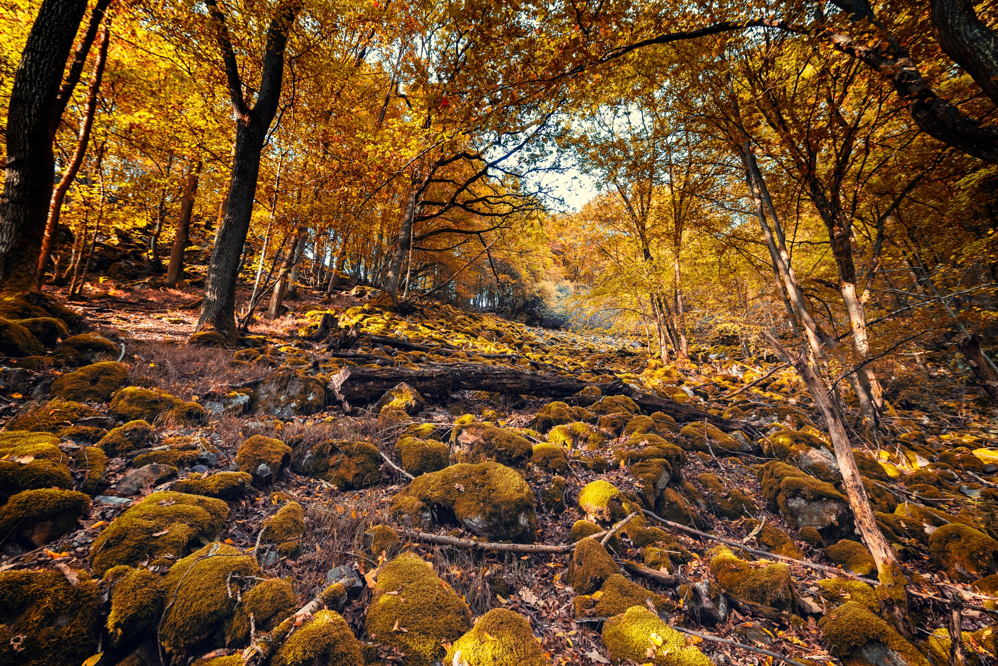 Tokina AT-X 16-28mm F2.8 Pro FX sample photo. Dreamwood photography